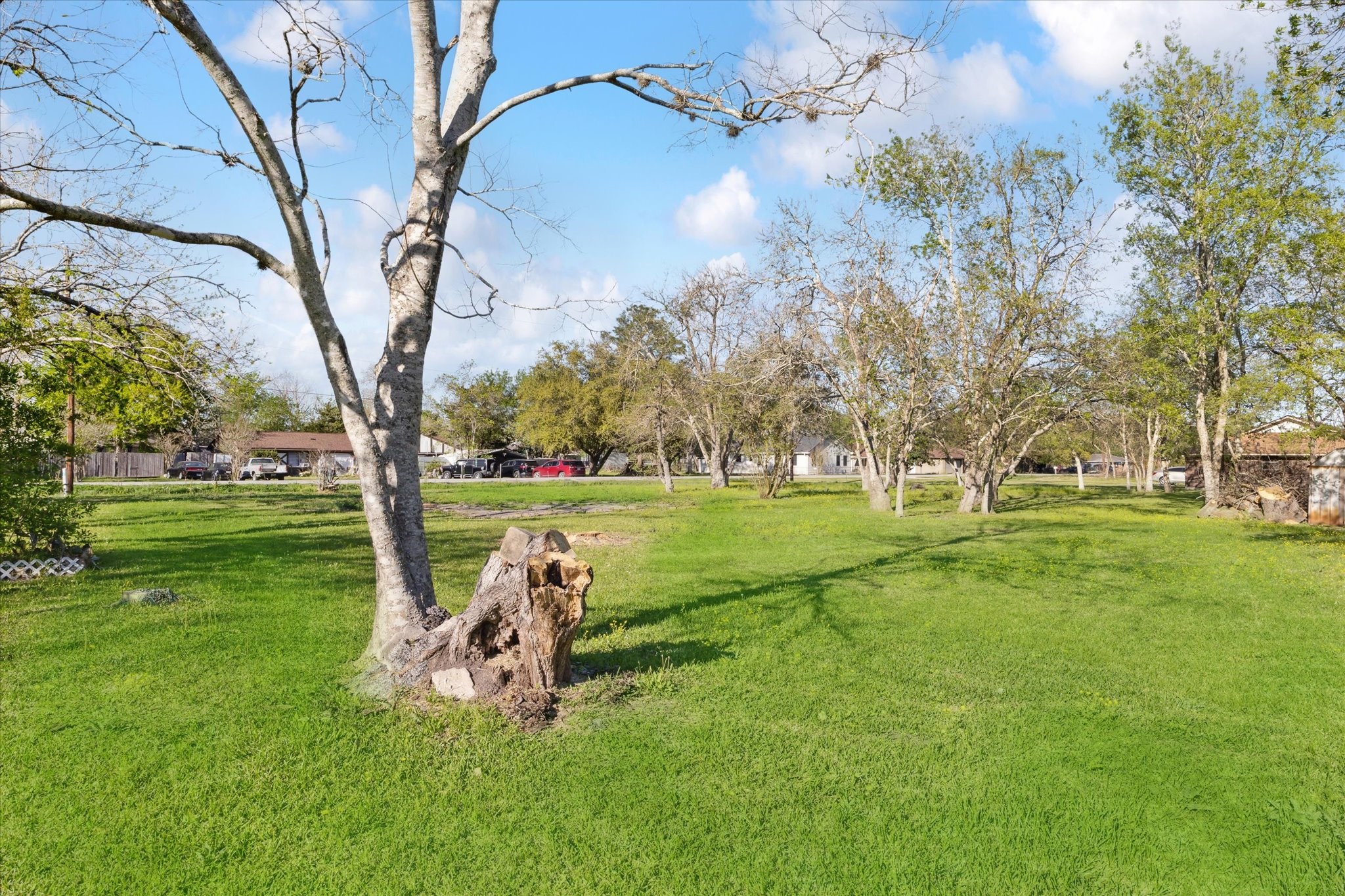 3109 Texas Avenue Property Photo 3