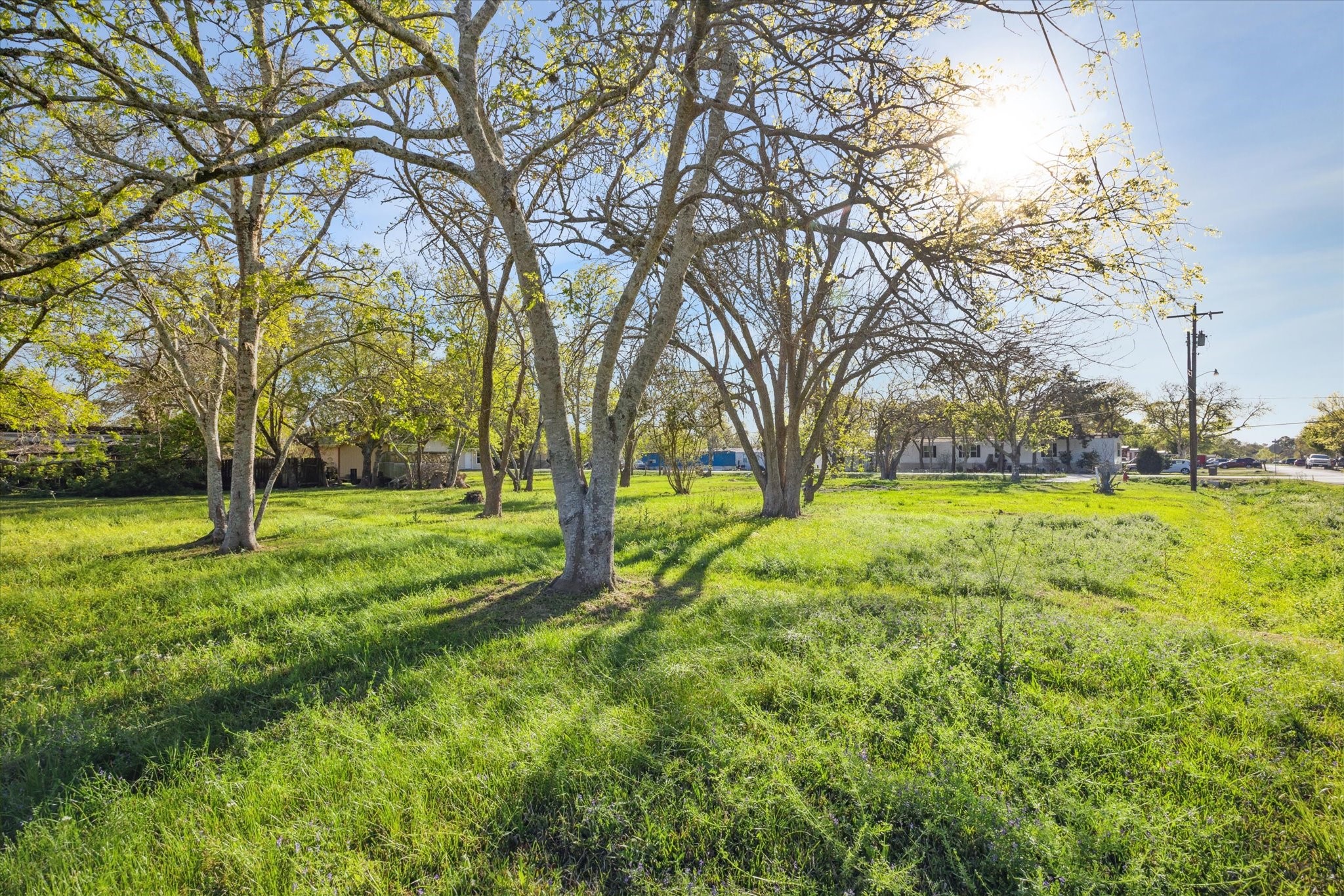 3109 Texas Avenue Property Photo 5