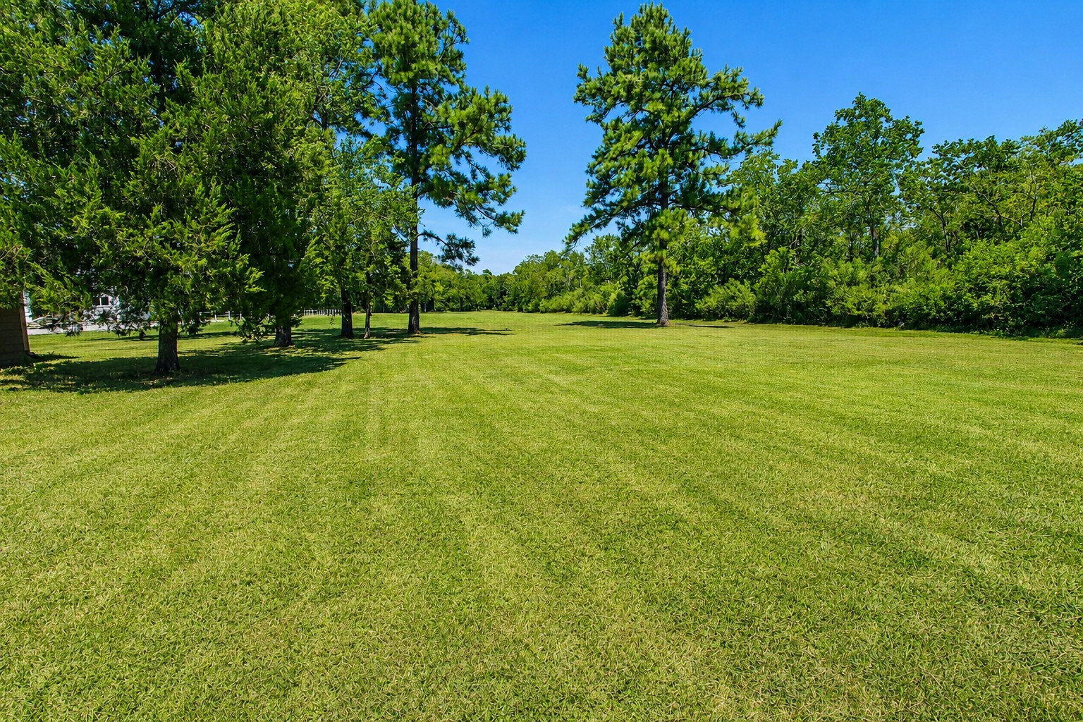 7502 Lewis Lane Property Photo 41
