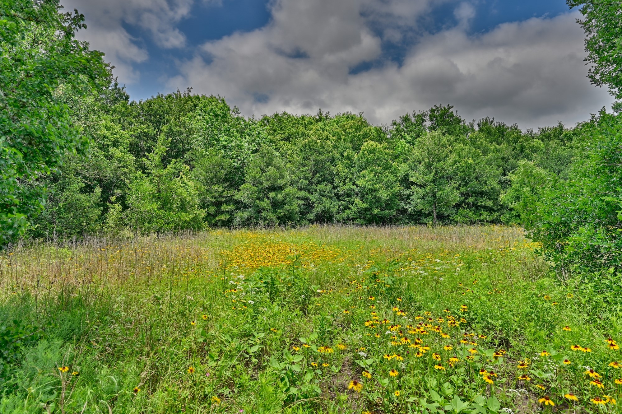 14619 Highway 36 S Property Photo 3