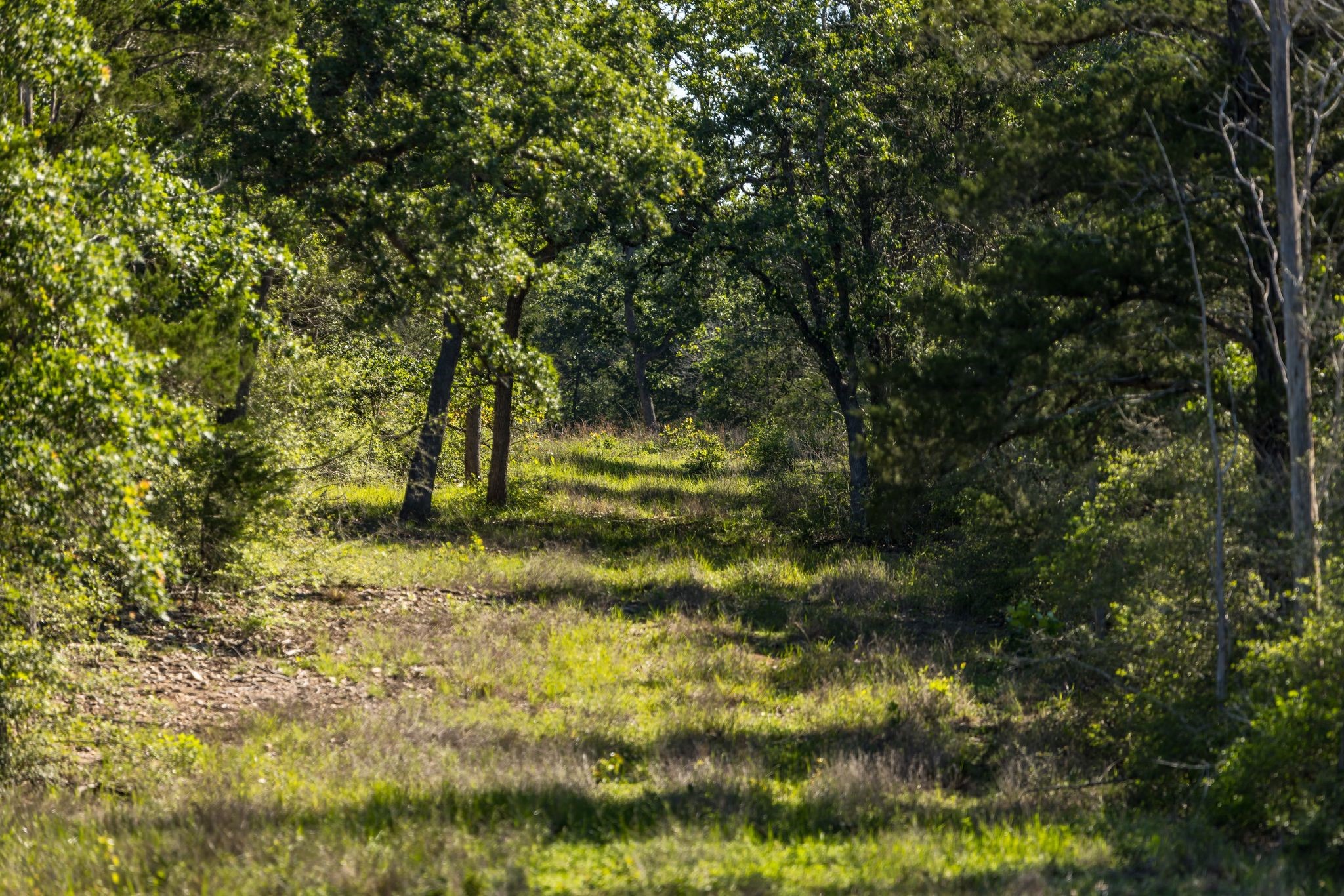 2062 N Fm 1291 Property Photo 38