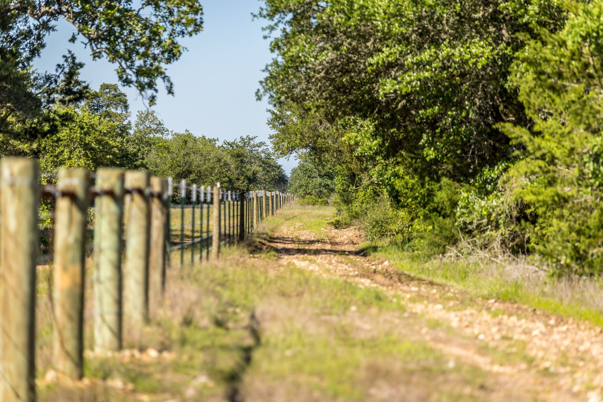 2062 N Fm 1291 Property Photo 39