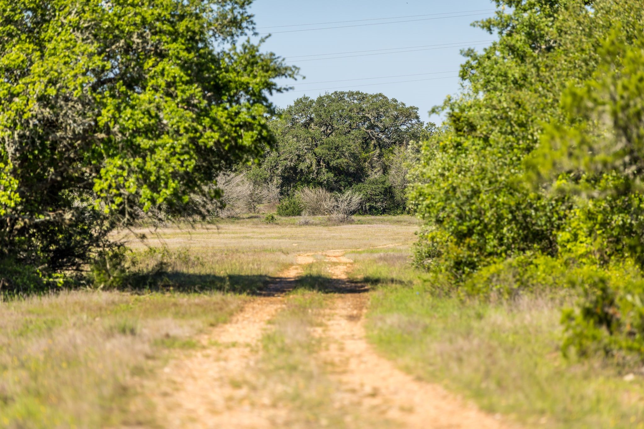 2062 N Fm 1291 Property Photo 40