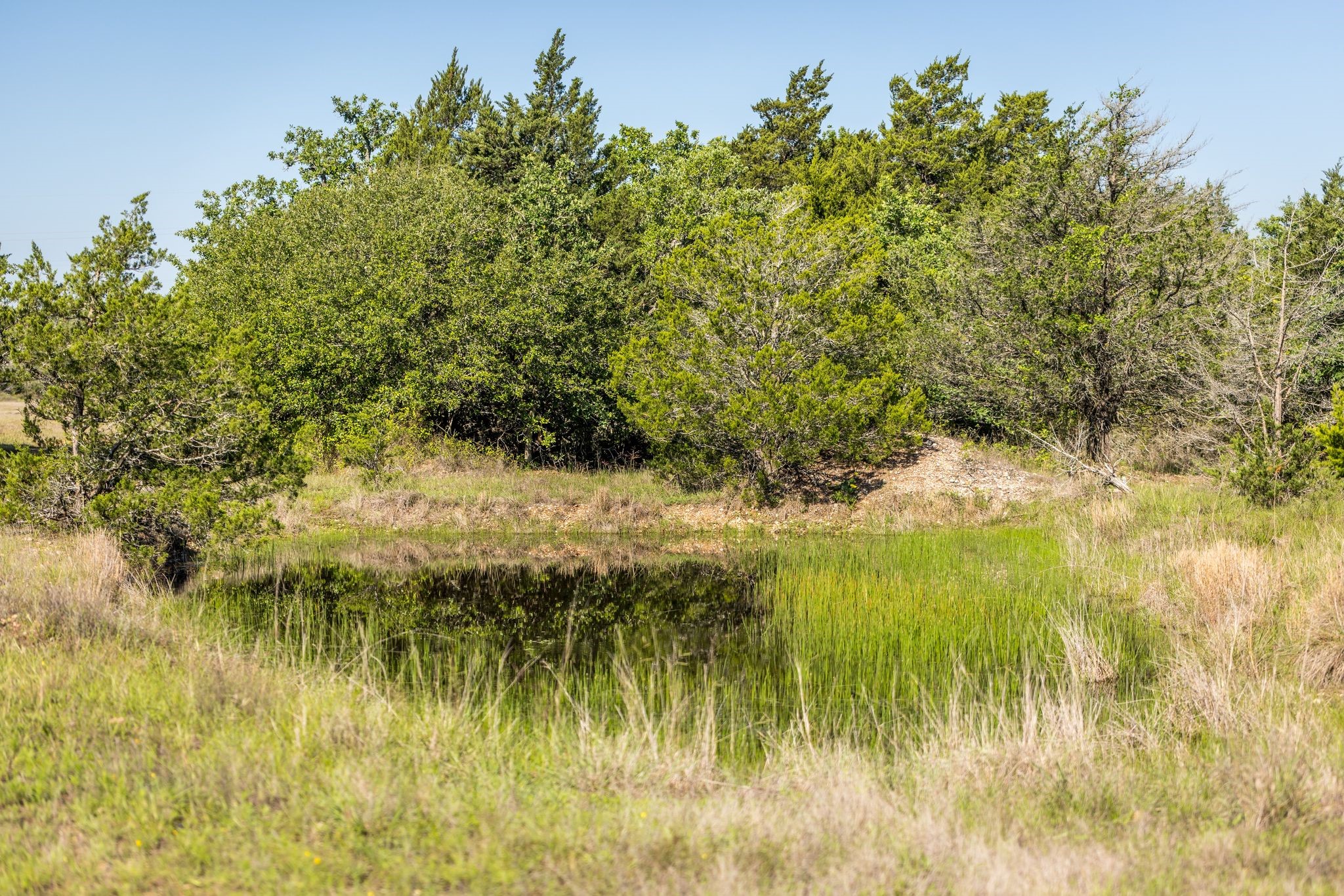 2062 N Fm 1291 Property Photo 41