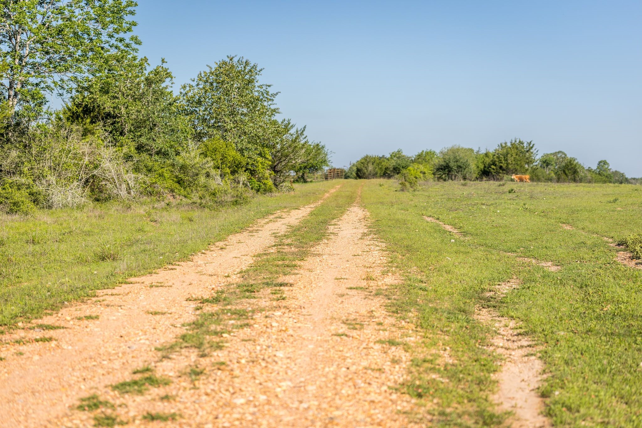 2062 N Fm 1291 Property Photo 42