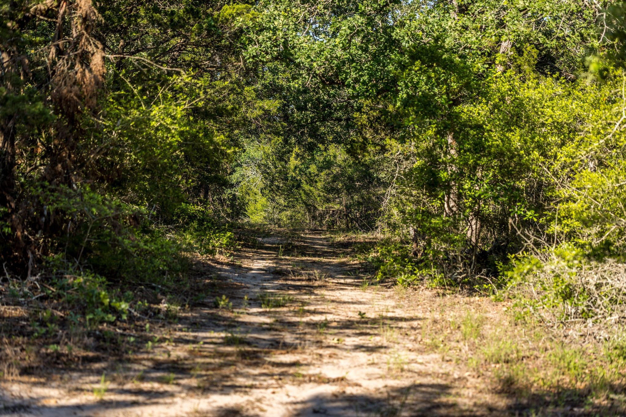 2062 N Fm 1291 Property Photo 44
