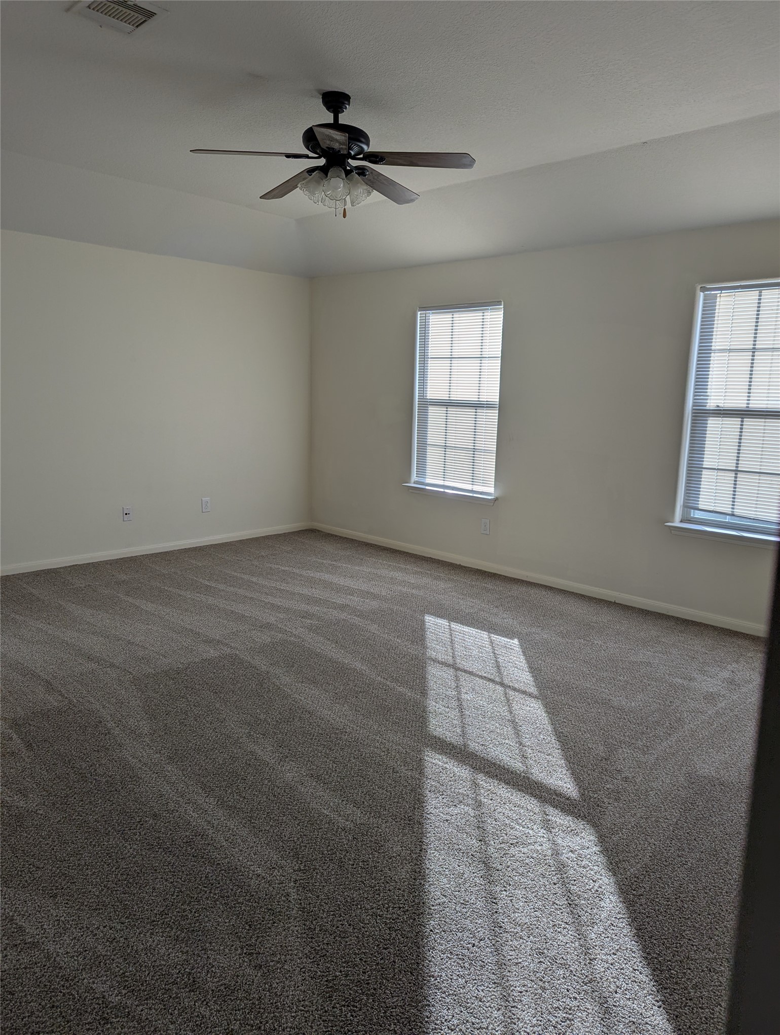 3919 Hollow Cove Lane Property Photo 15