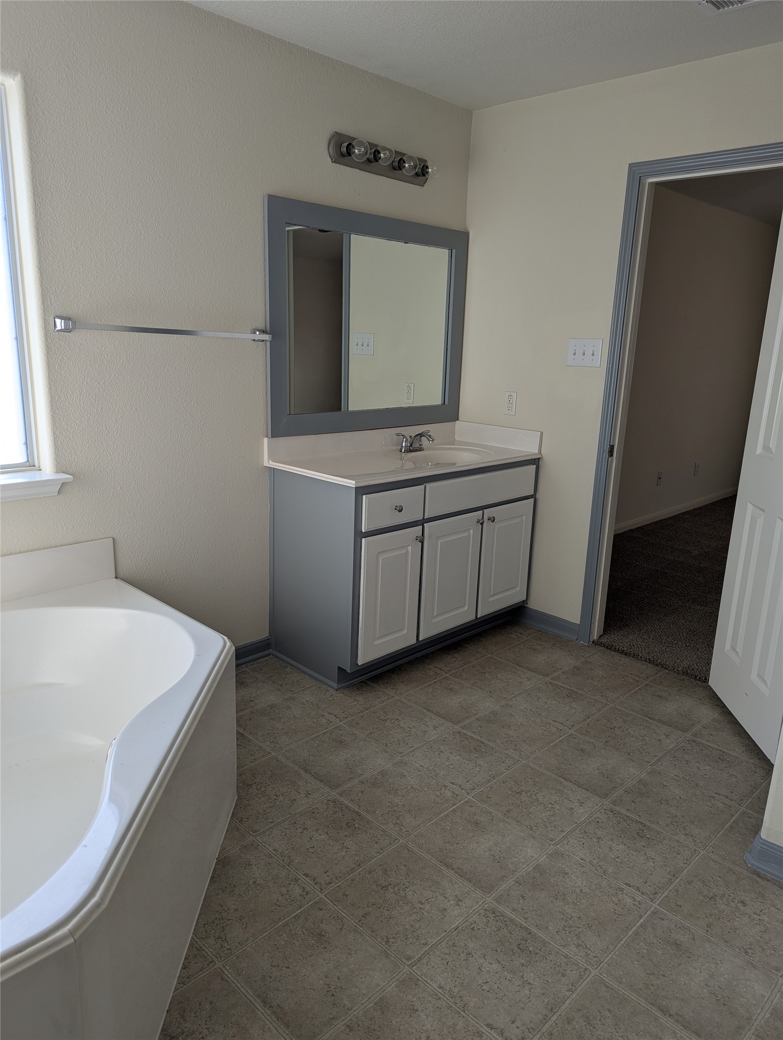 3919 Hollow Cove Lane Property Photo 17