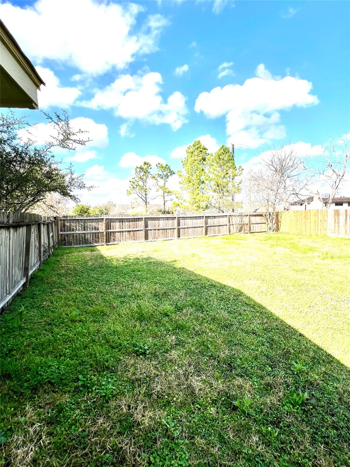 16307 Morning Quail Ct Property Photo 19