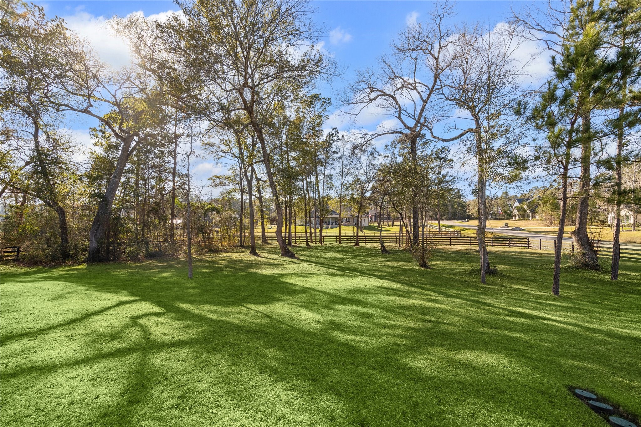 19812 Whispering Creek Trail Property Photo 19