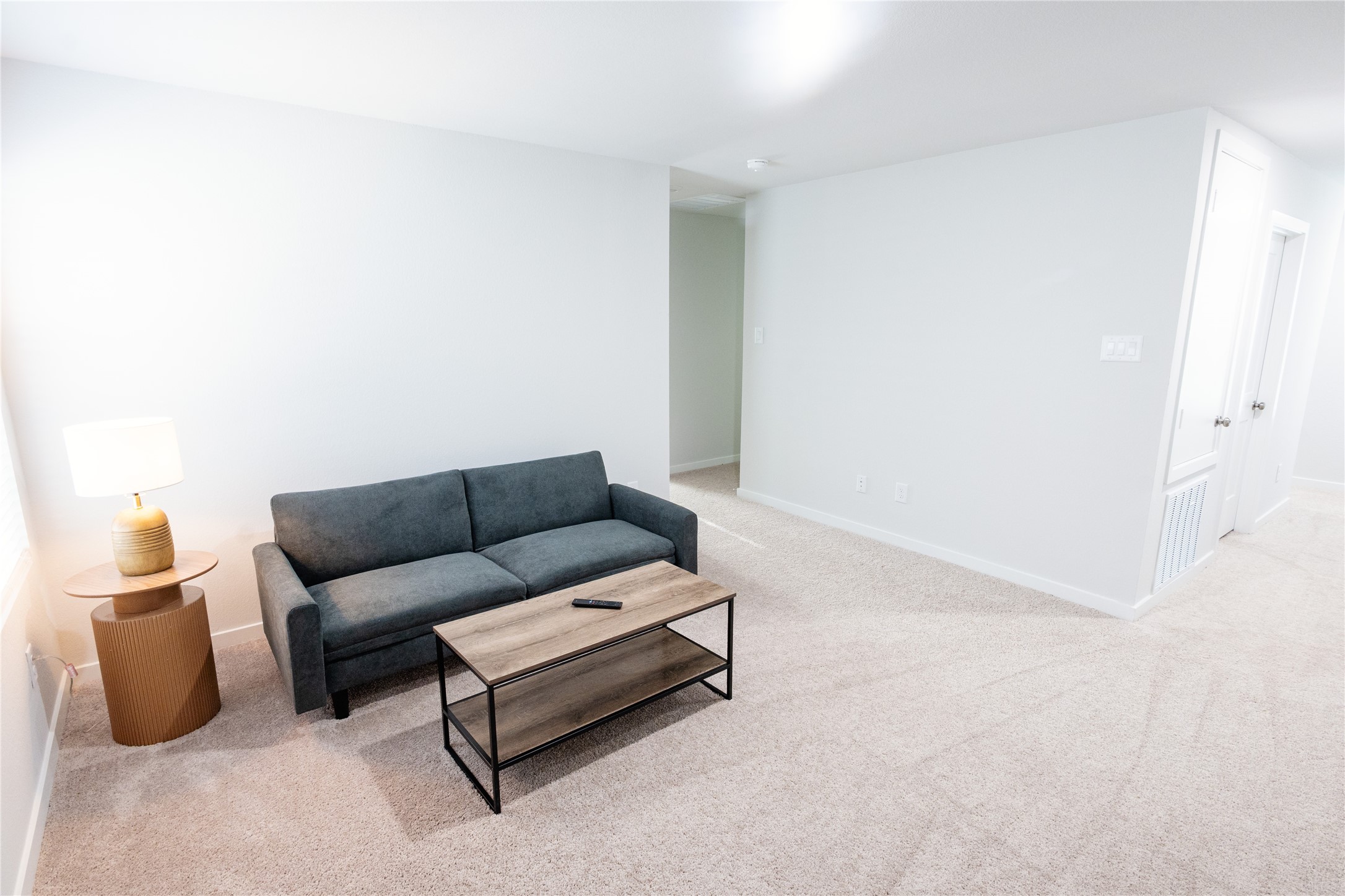 211 Brazen Forest Trail Property Photo 24
