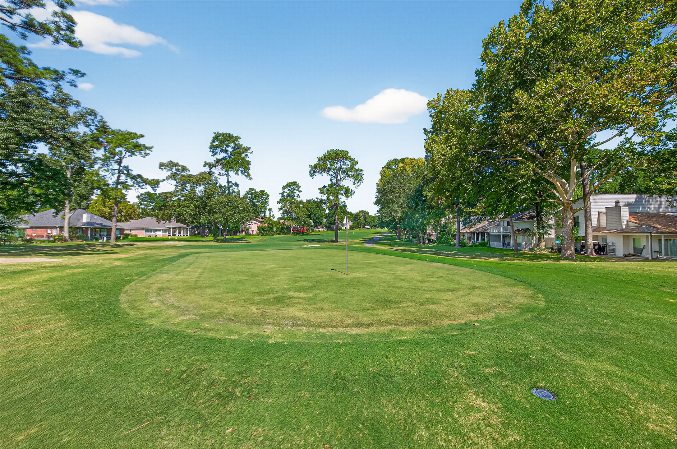 82 April Wind Drive S Property Photo 3