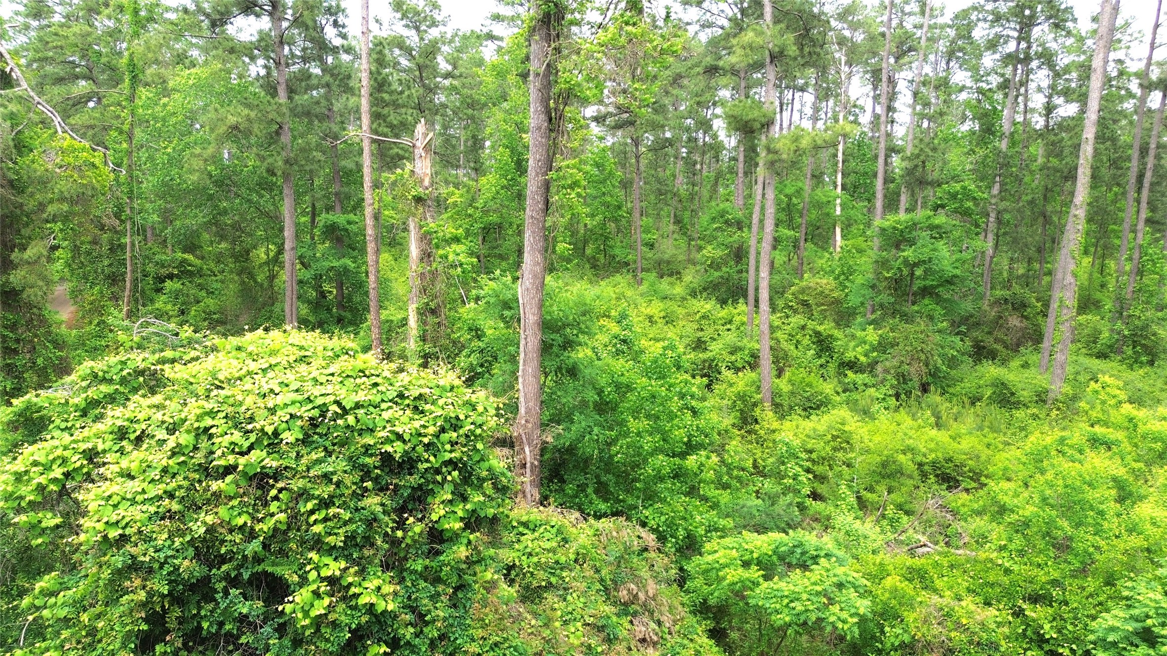 Tbd Acr 182 Property Photo 1