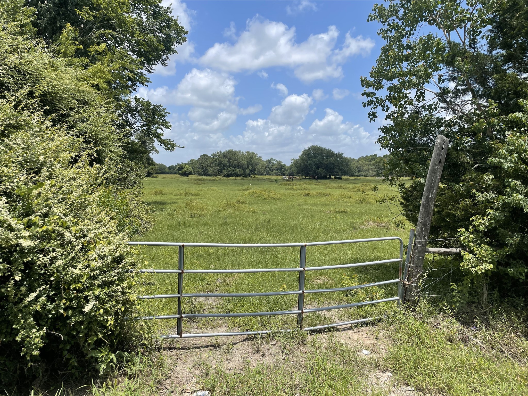 0 Cr-392 Property Photo 4