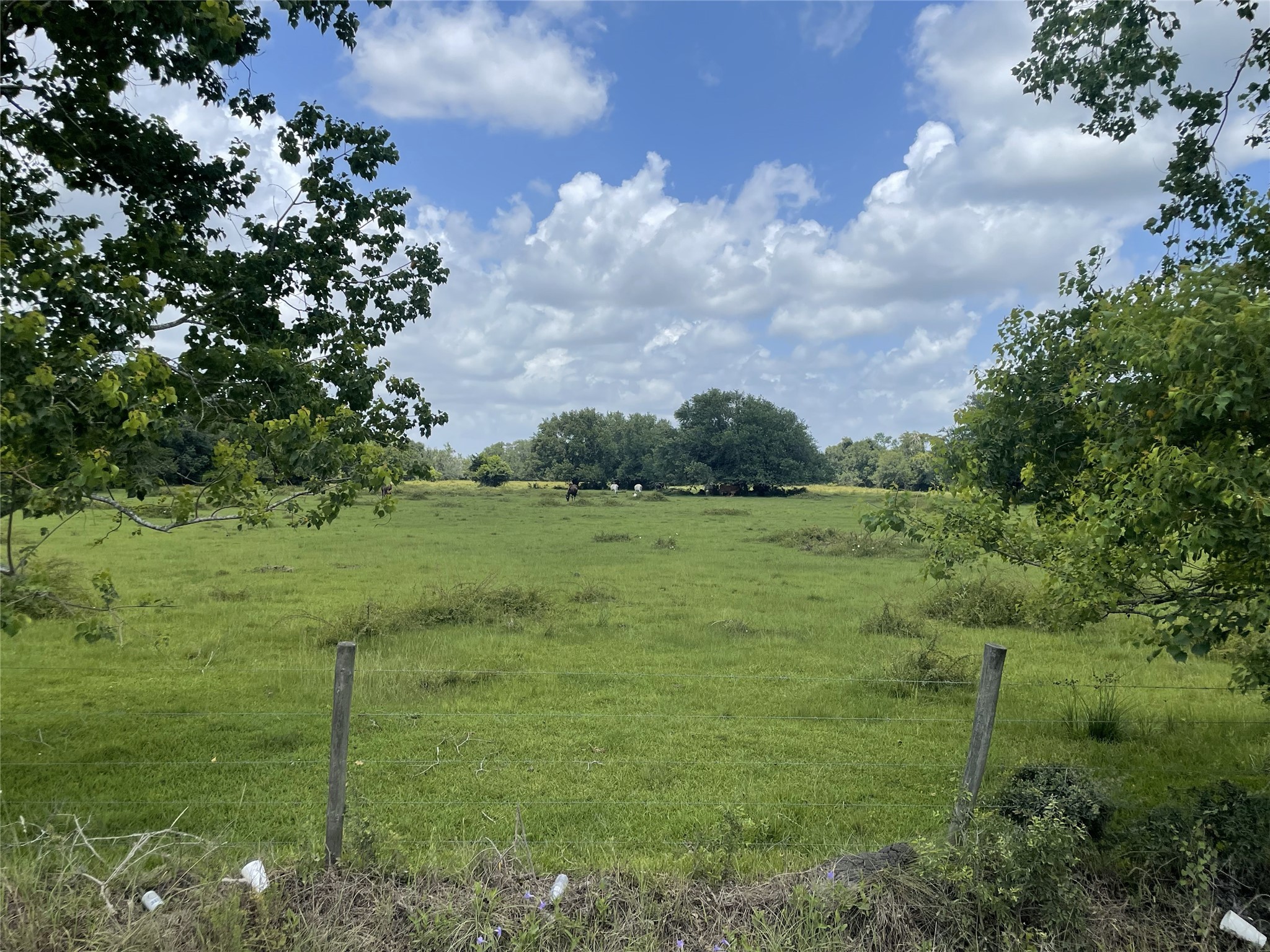 0 Cr-392 Property Photo 13