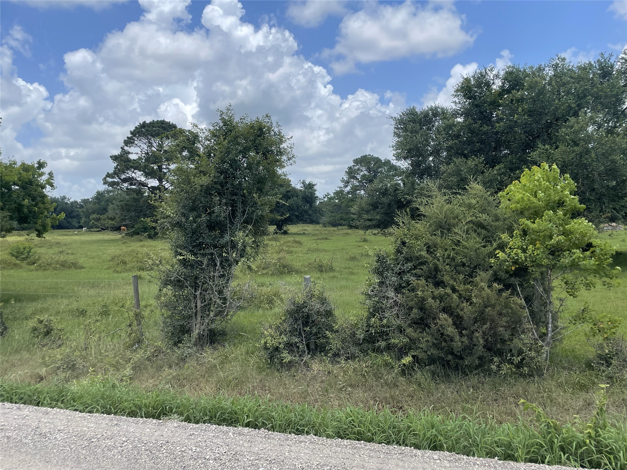 0 Cr-392 Property Photo 16