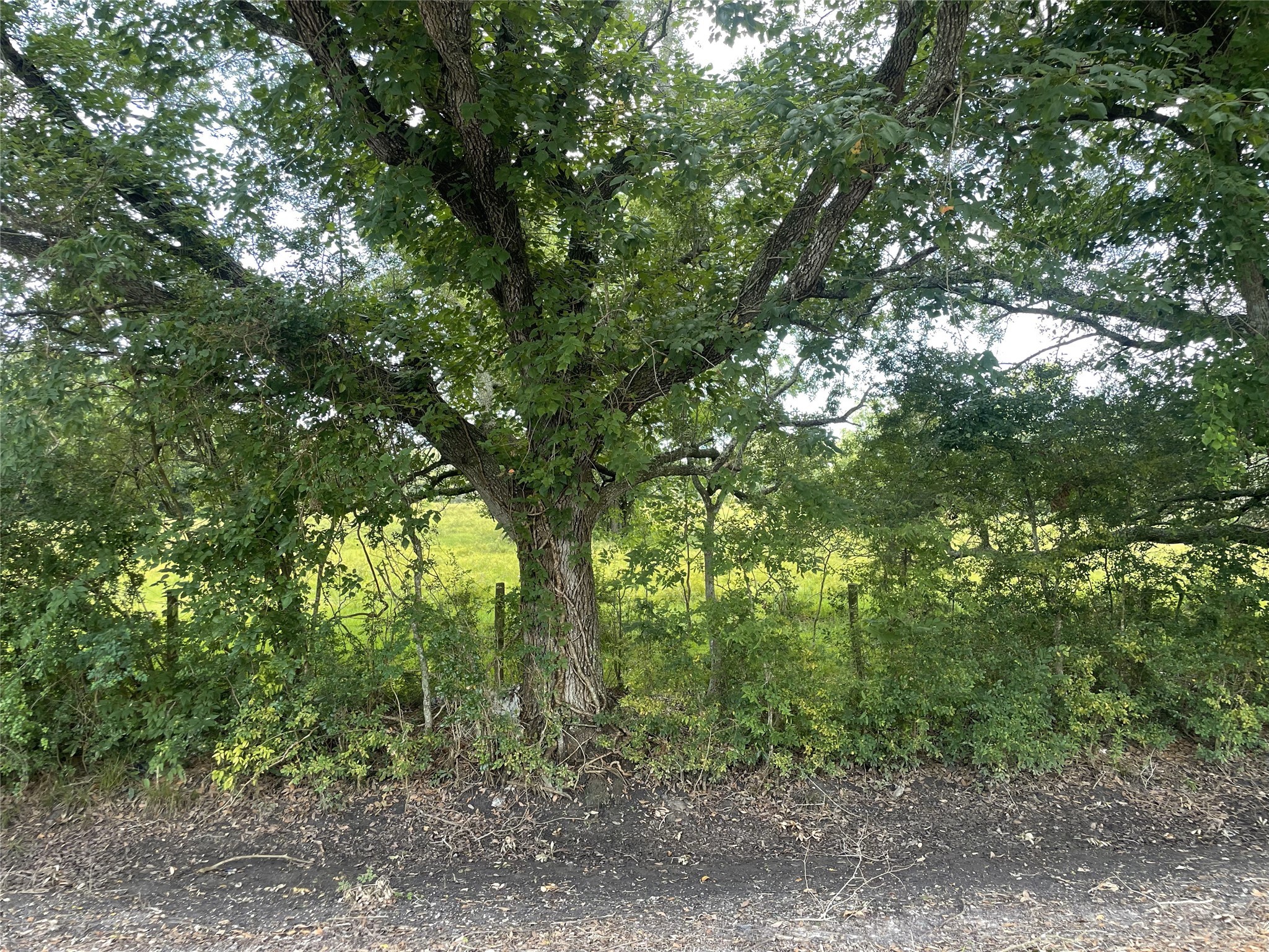 0 Cr-392 Property Photo 17