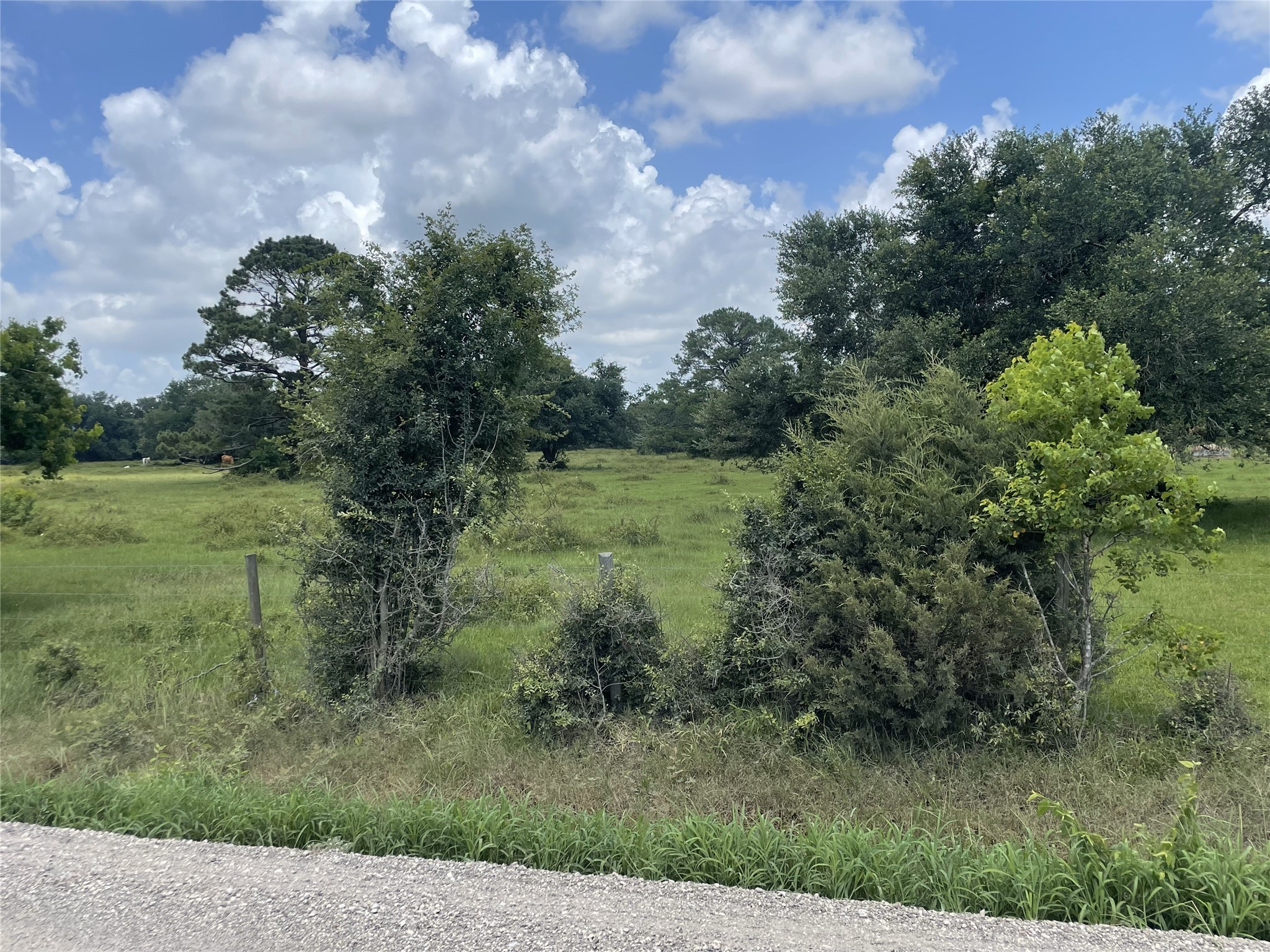 0 Cr-392 Property Photo 18