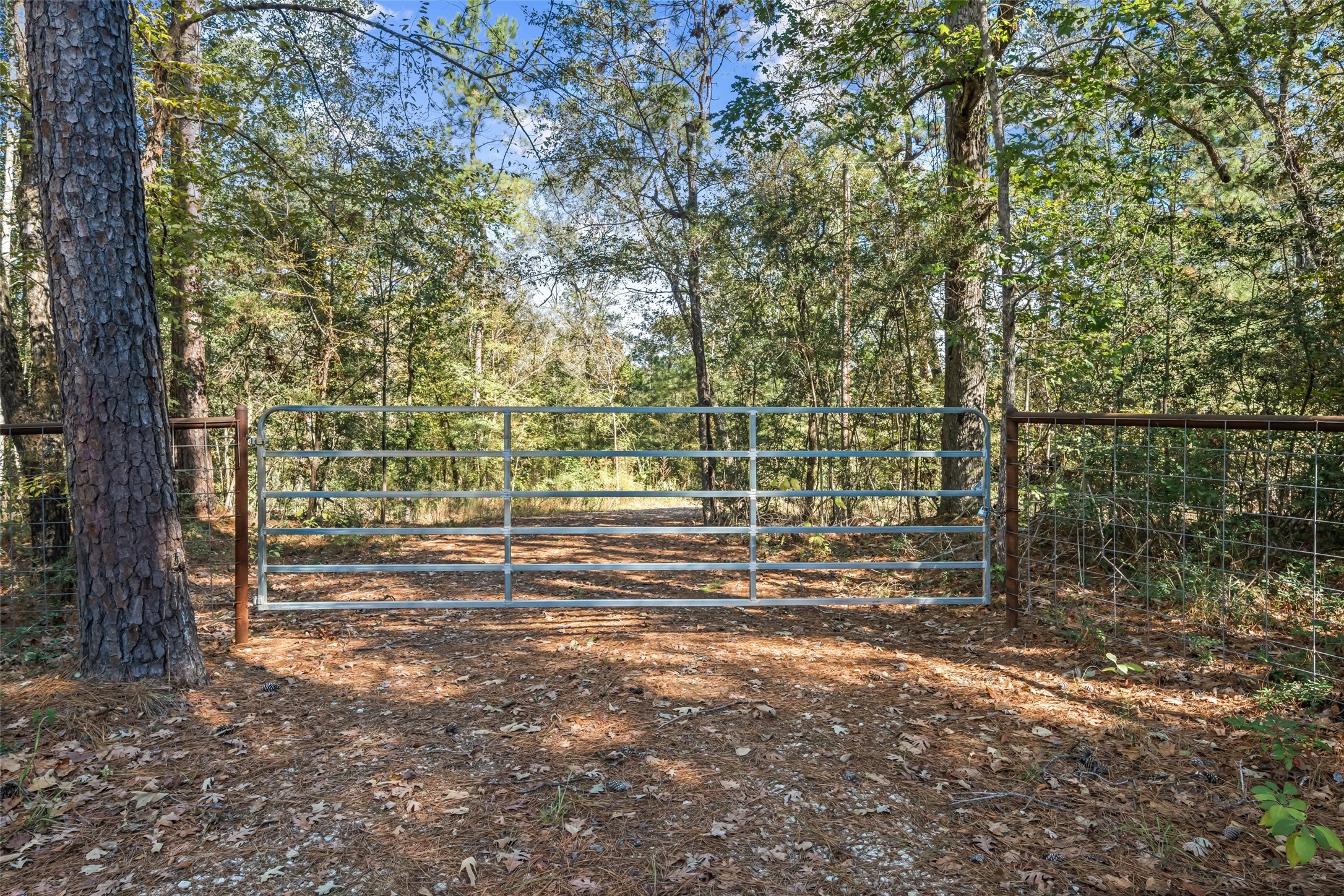 64 Gourd Creek Cemetary Road Property Photo 25