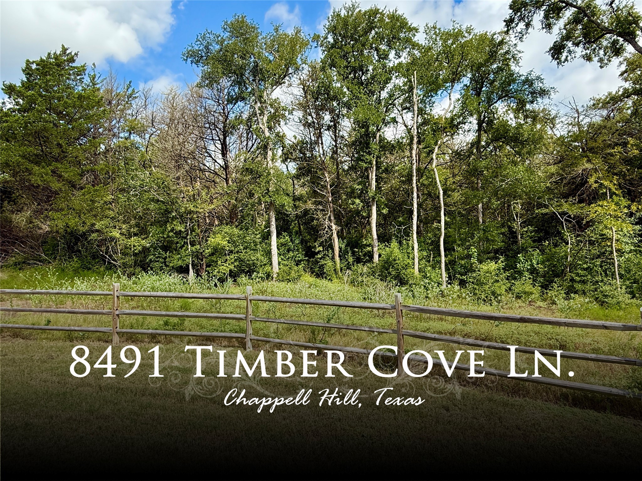8491 Timber Cove Lane Property Photo 1