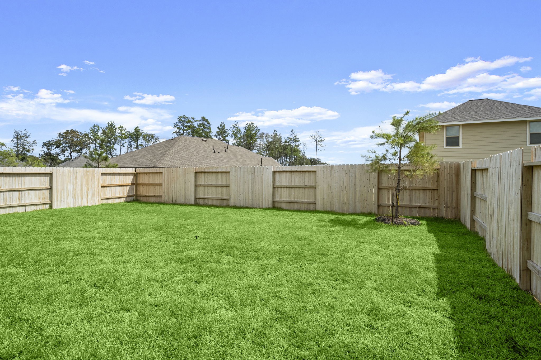 2952 Palominos Way Property Photo 24