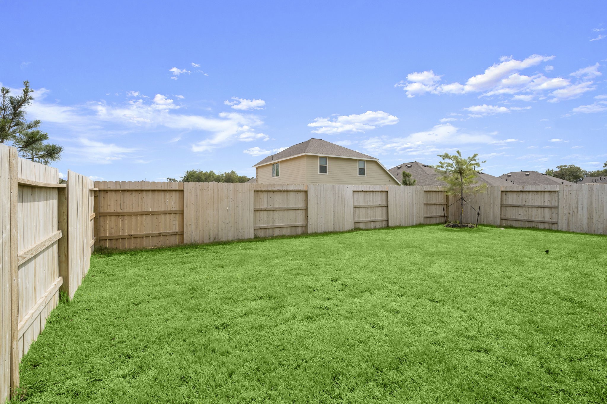 2952 Palominos Way Property Photo 25