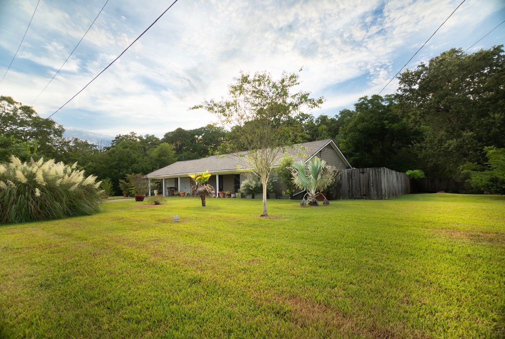 2117 Pecan Street Property Photo 3