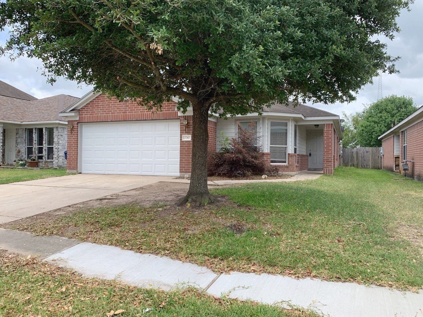 2747 Lofty Elm Property Photo 3