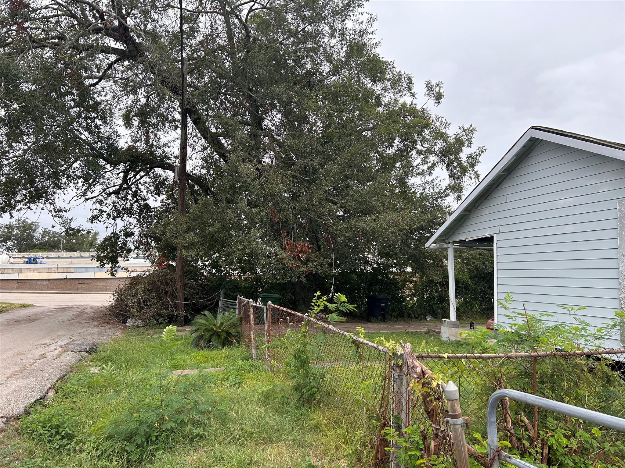 3011 Retta Street Property Photo 5