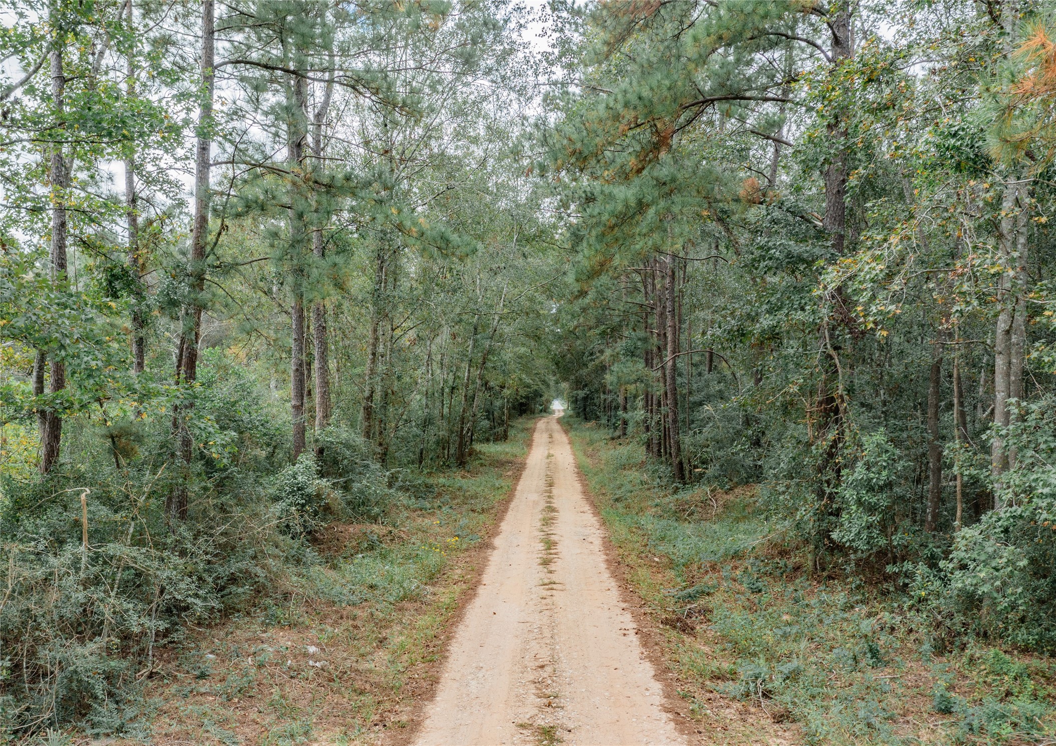 00 County Road 331,gulf Road Property Photo 3