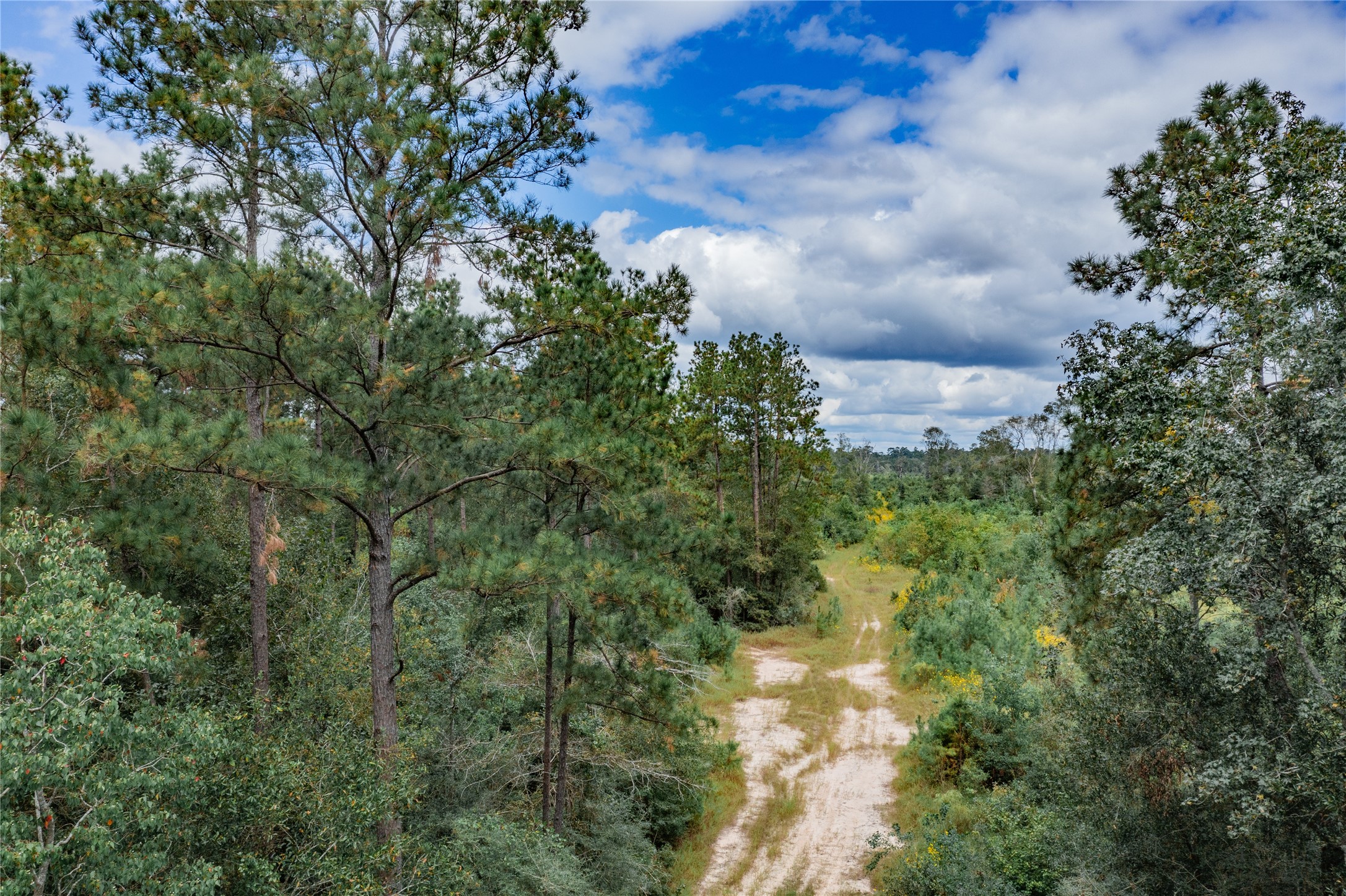 00 County Road 331,gulf Road Property Photo 4