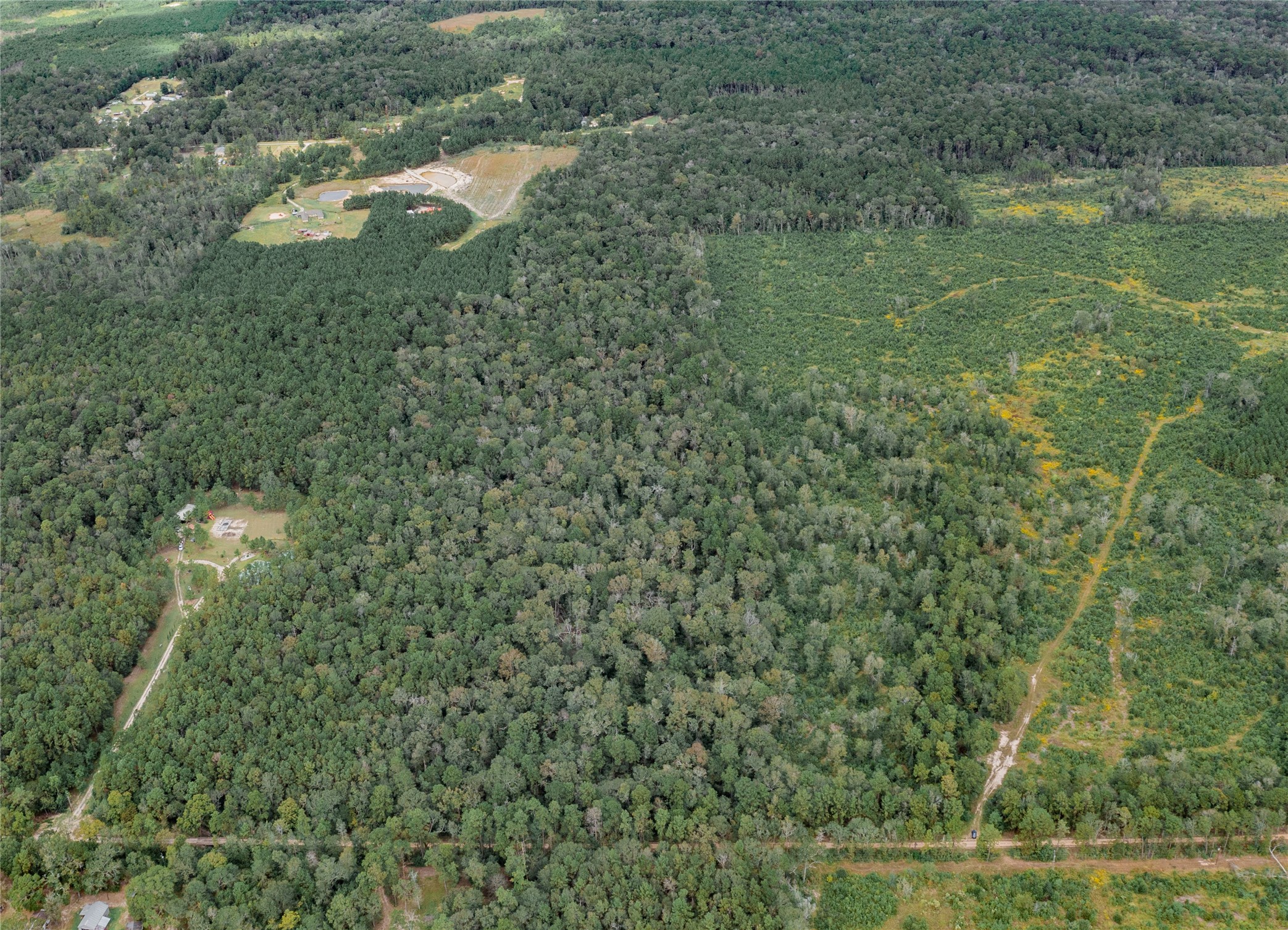 00 County Road 331,gulf Road Property Photo 7