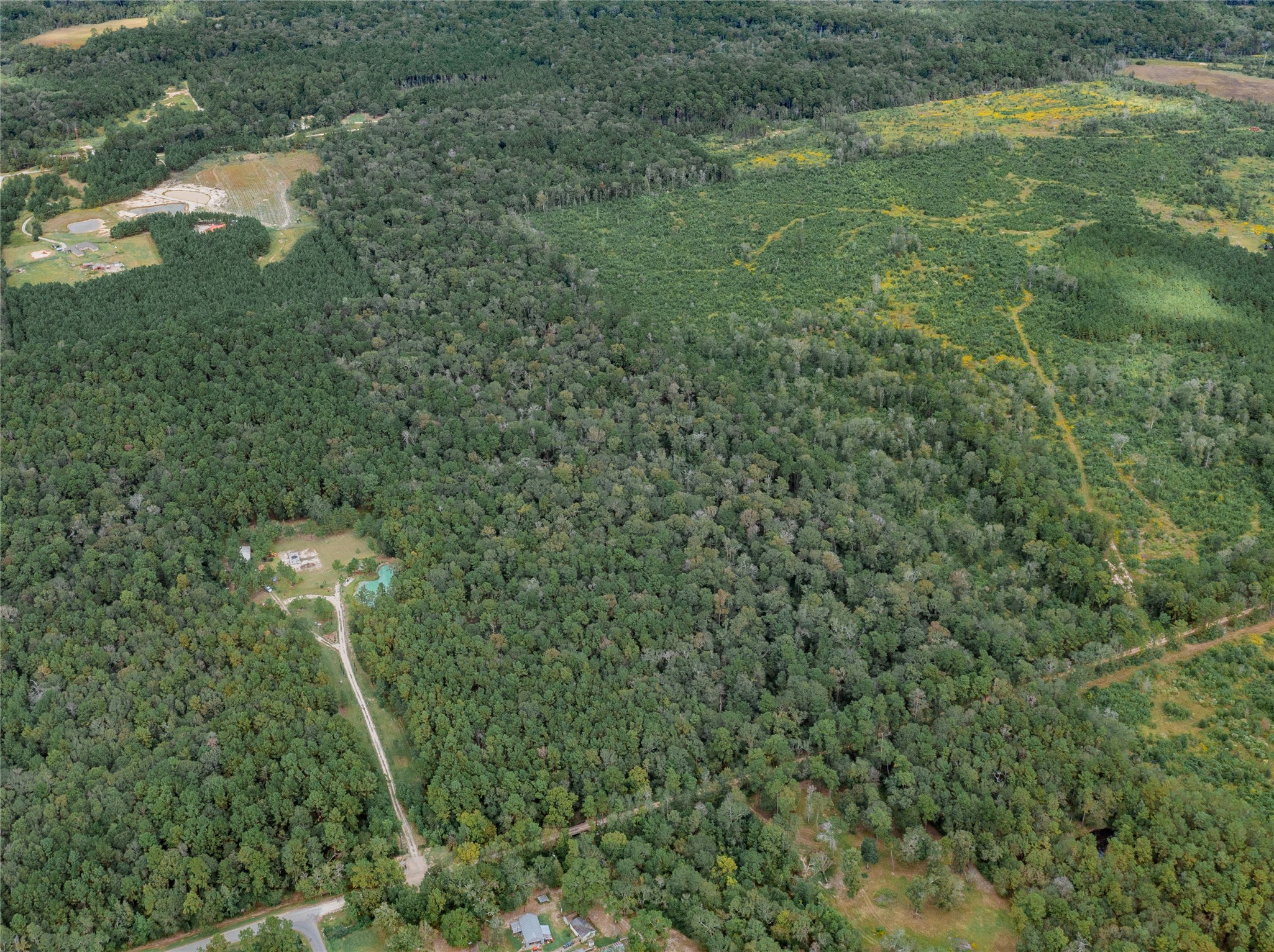 00 County Road 331,gulf Road Property Photo 9