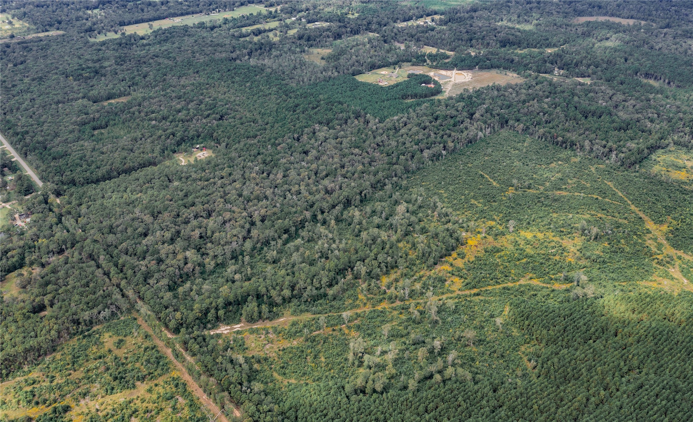 00 County Road 331,gulf Road Property Photo 11