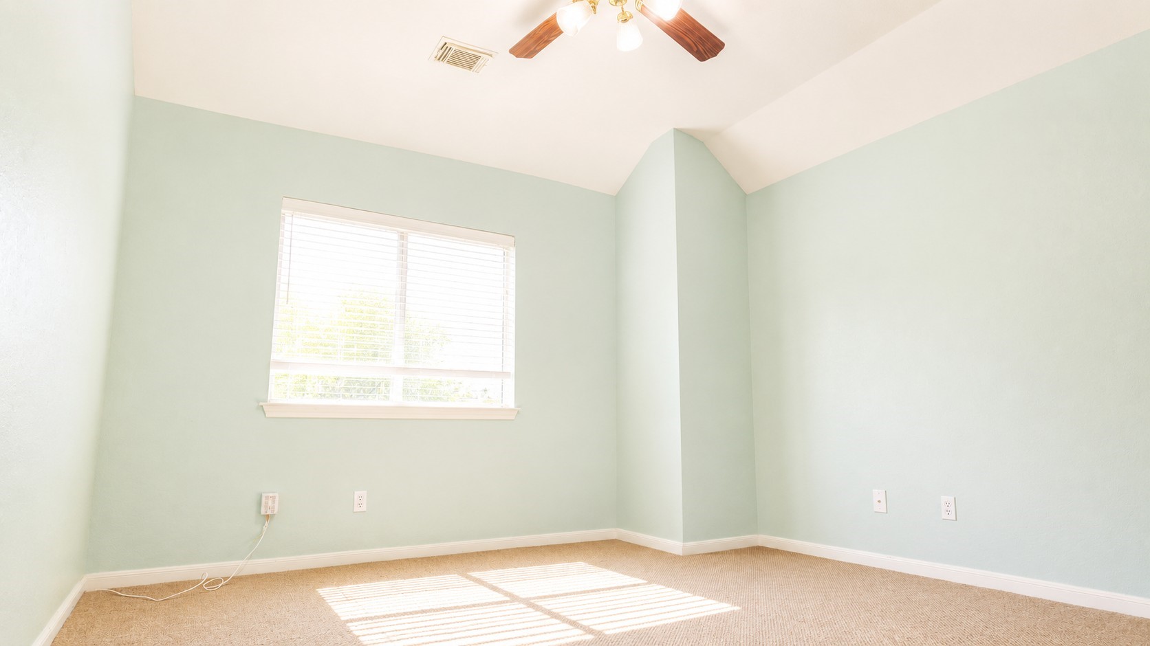 2438 Weatherford Drive Property Photo 41