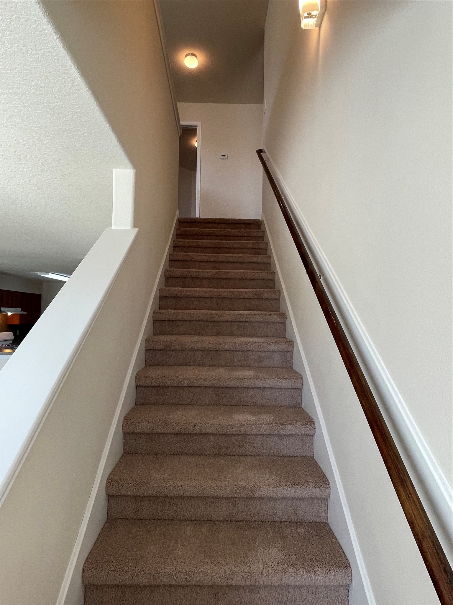 17918 Evergreen Trace Lane Property Photo 21