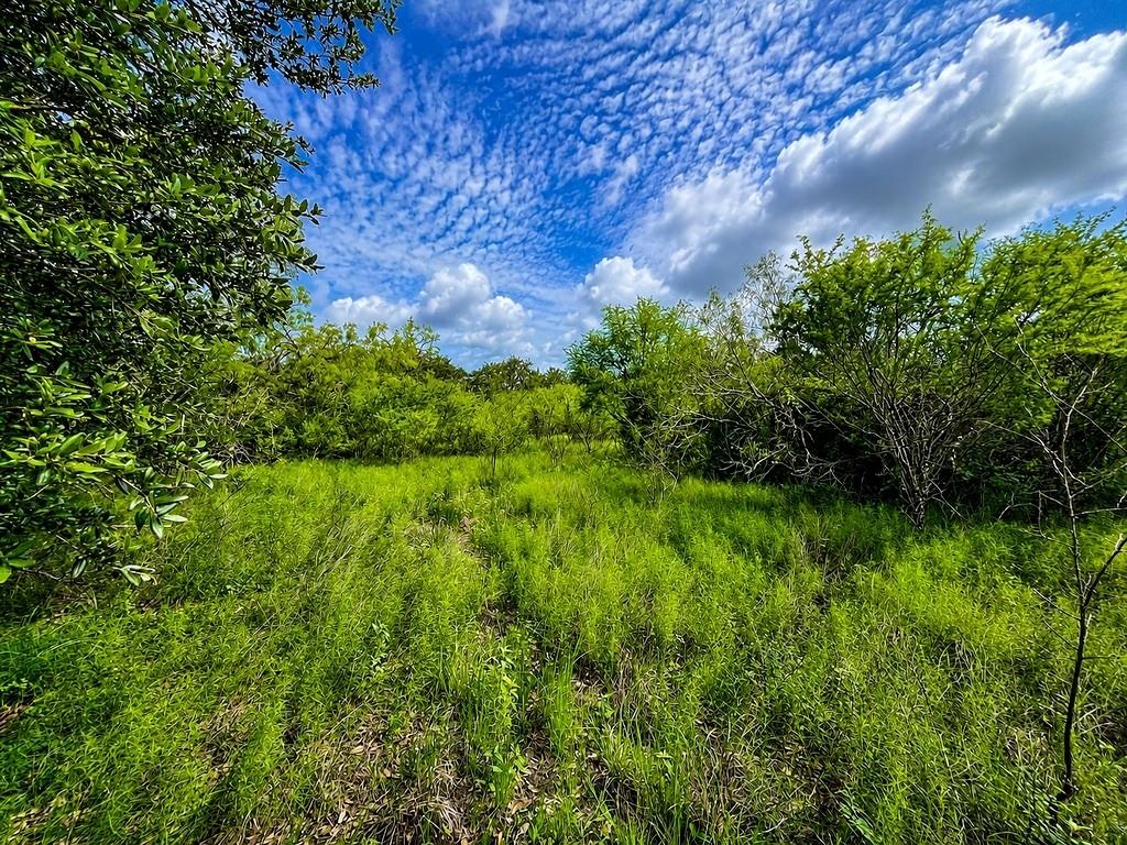 Tbd Water Oak Road, Columbus Tx 78934 Property Photo 1