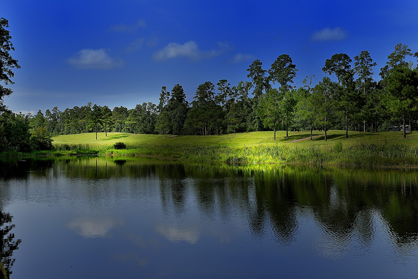18 N Badger Lodge Circle Property Photo 5