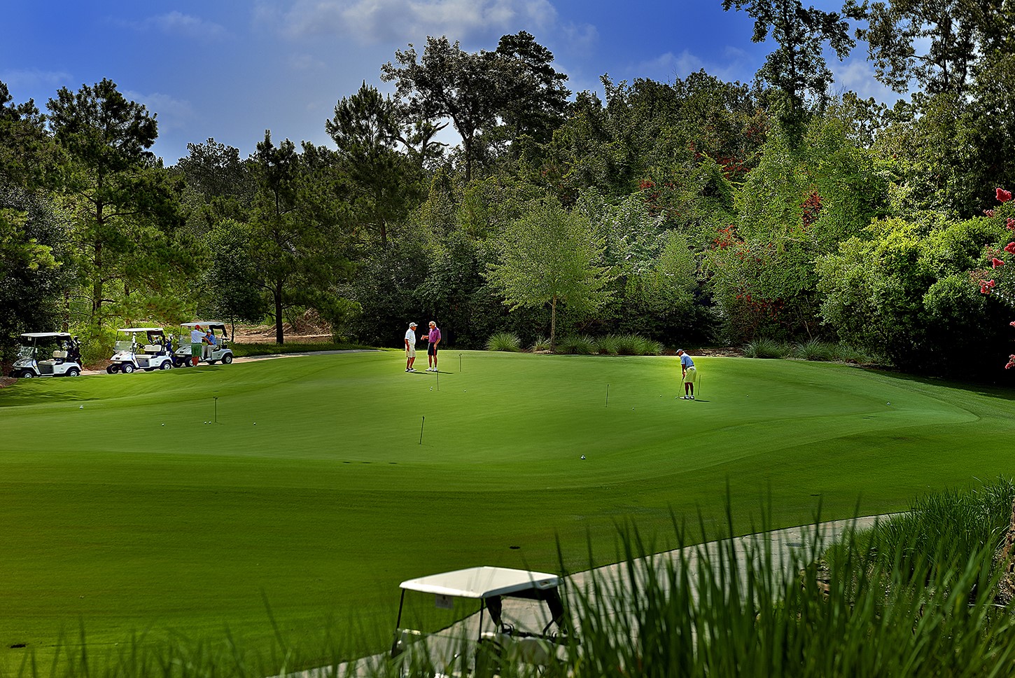18 N Badger Lodge Circle Property Photo 8
