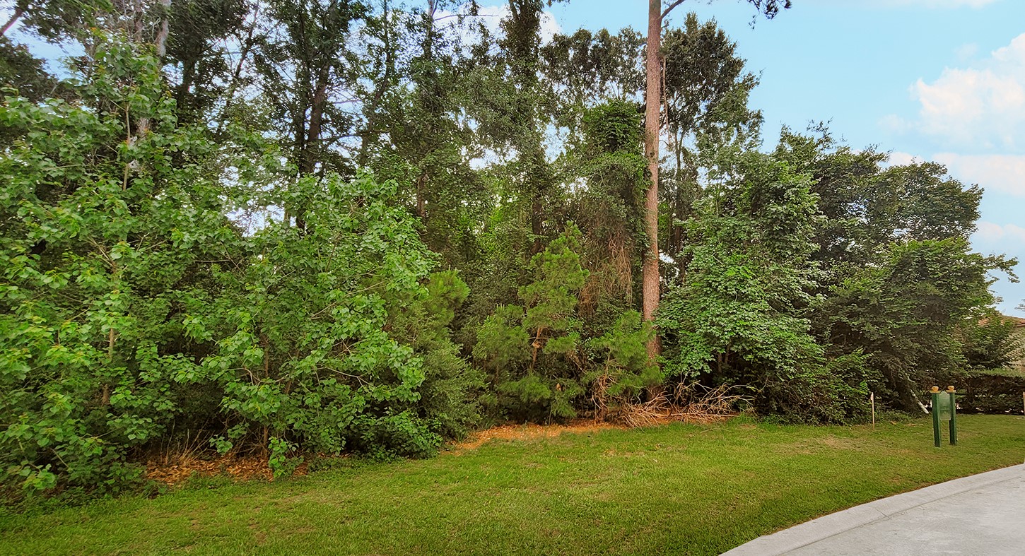 18 N Badger Lodge Circle Property Photo 17
