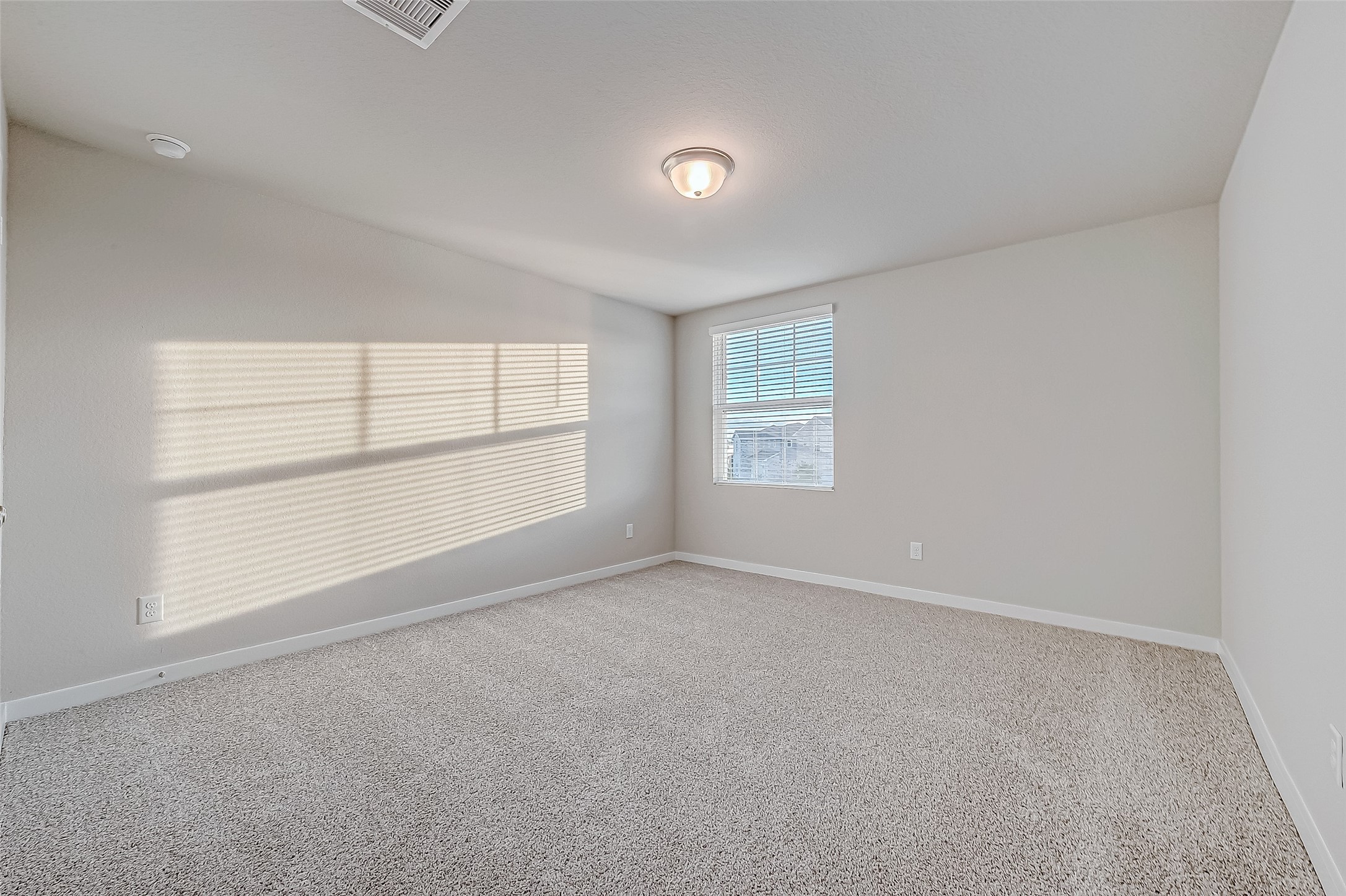 6343 Buffalo Bend Lane Property Photo 41