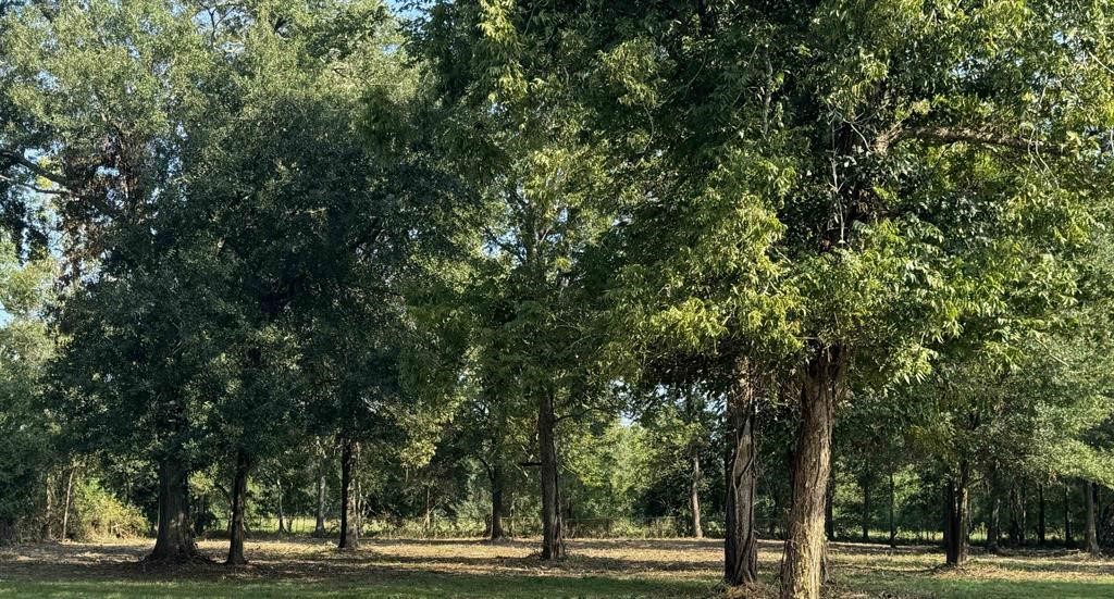 2490 Brickyard Road Property Photo