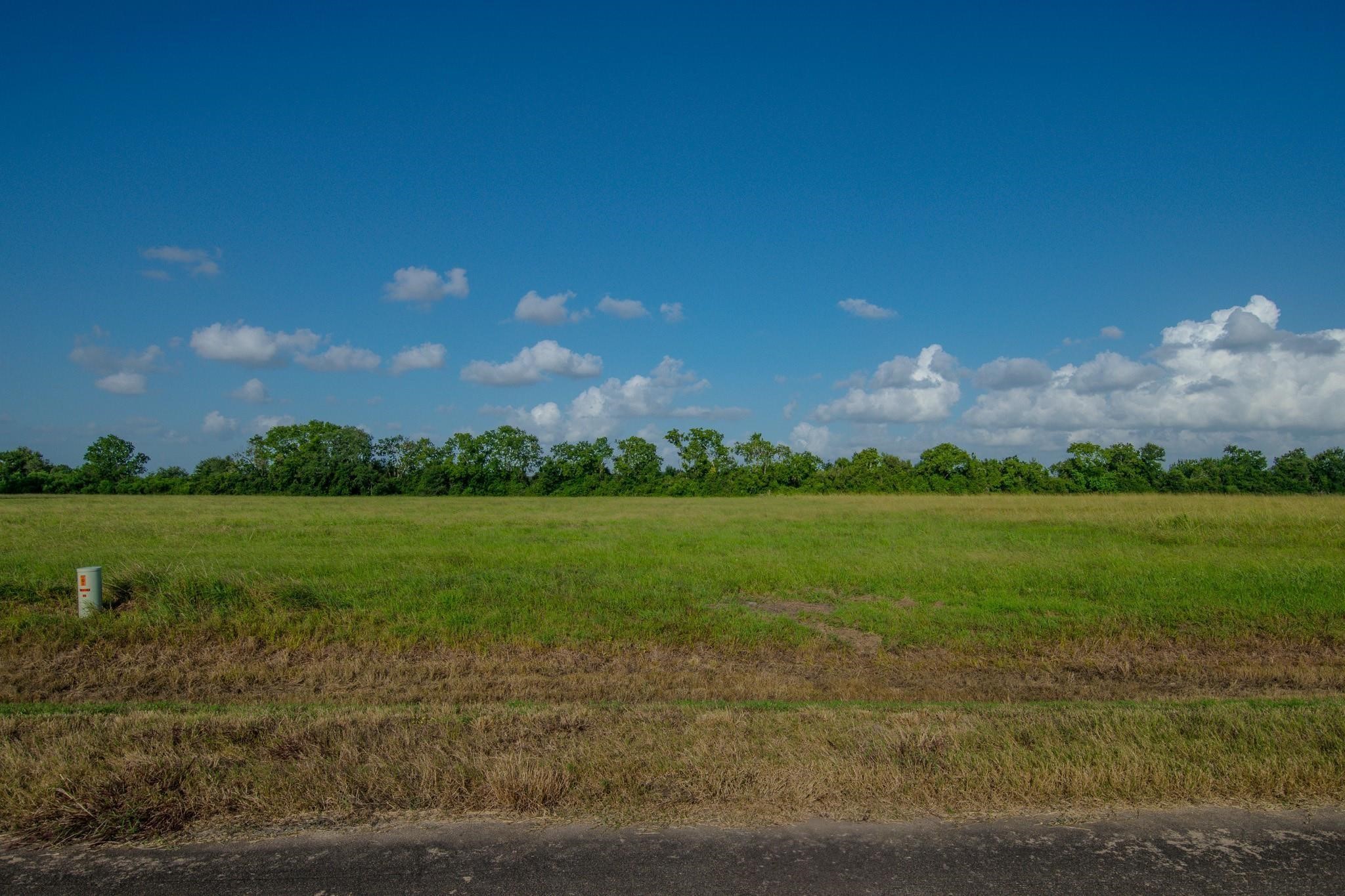 159 Brahman Trail Property Photo 2