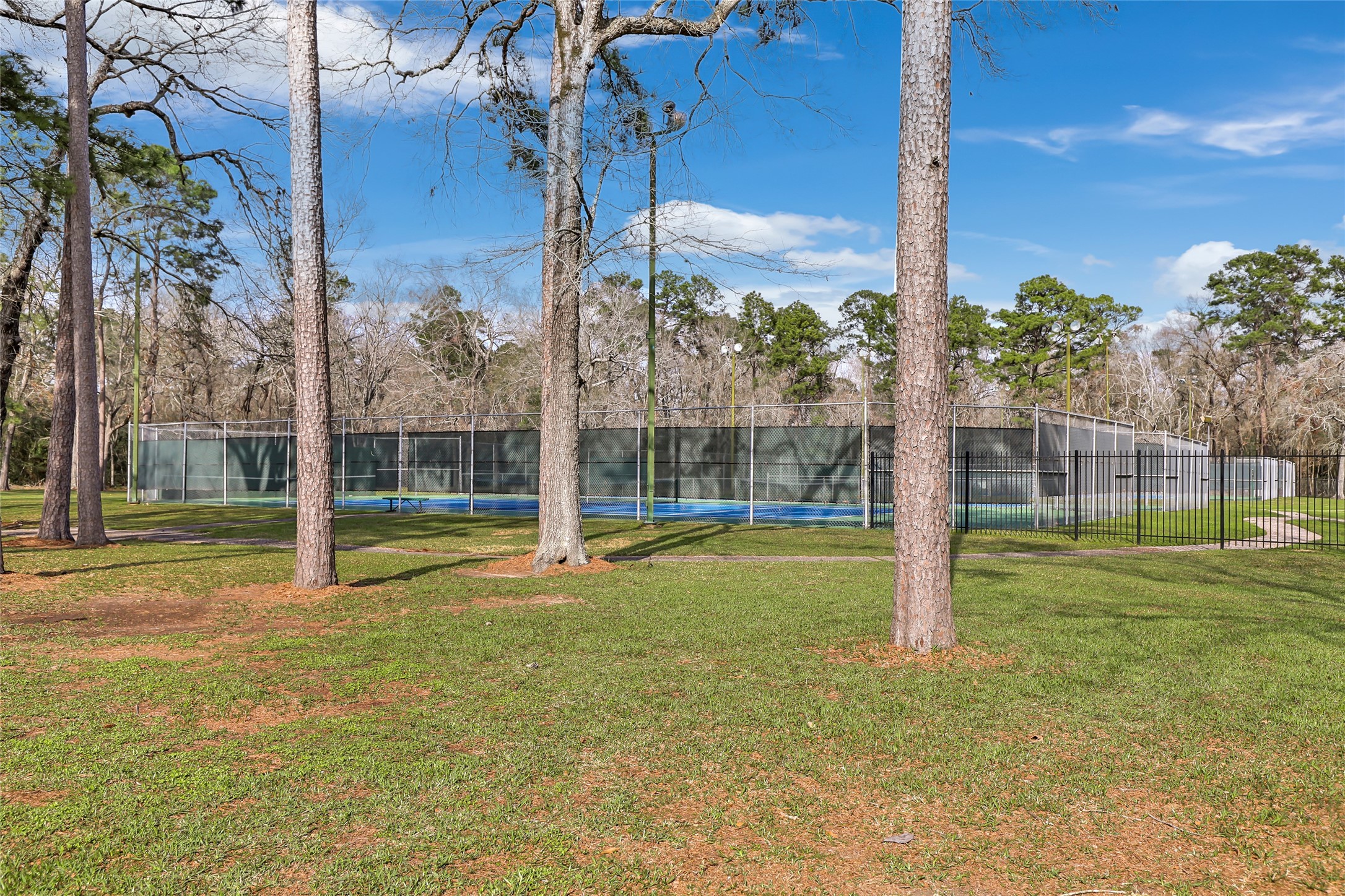 1102 Hitch Court Property Photo 29