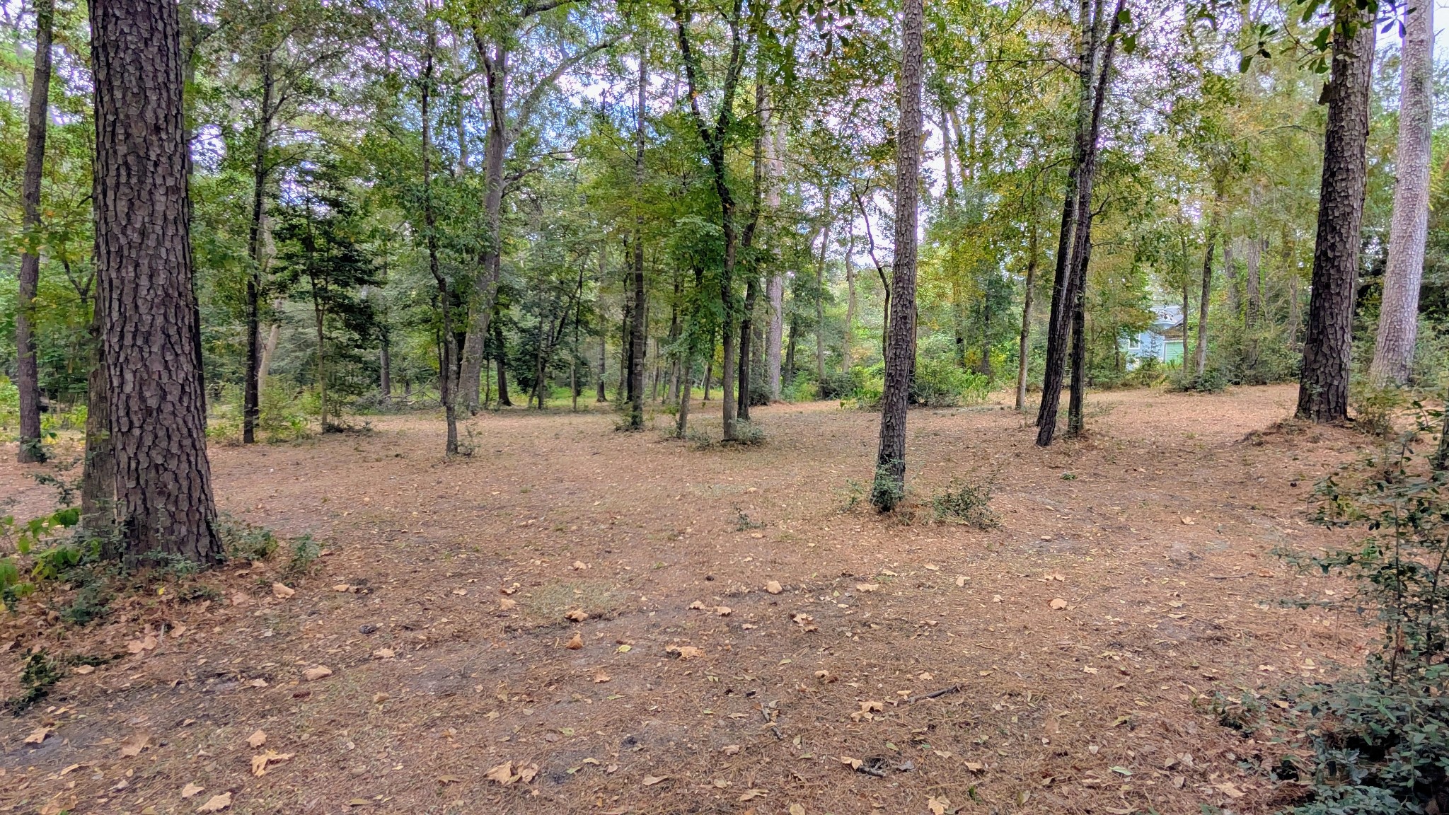 Tbd Clear Creek Circle Property Photo 9