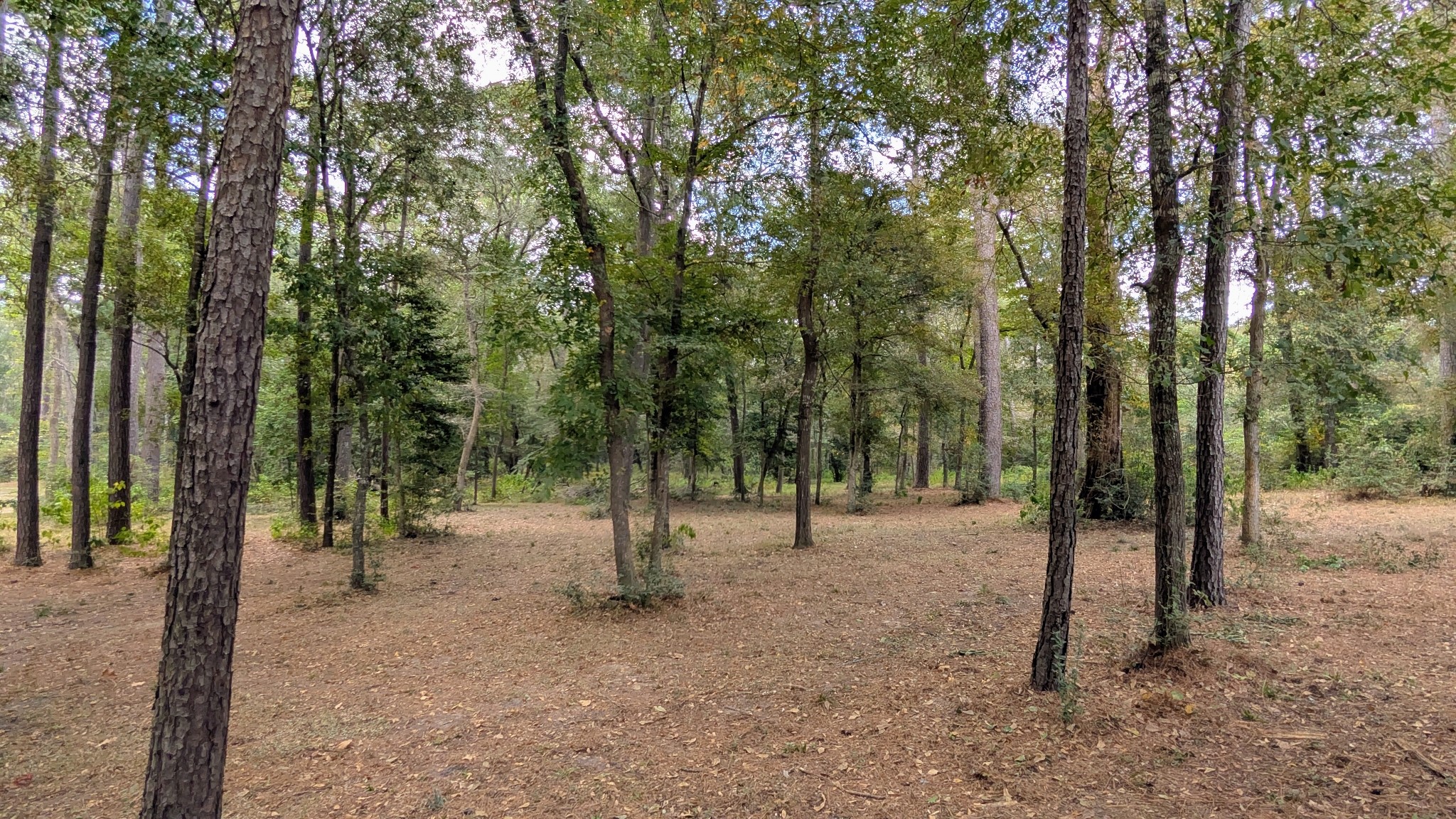 Tbd Clear Creek Circle Property Photo 10