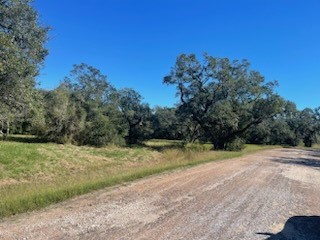 81 Center Tree Drive Property Photo 1