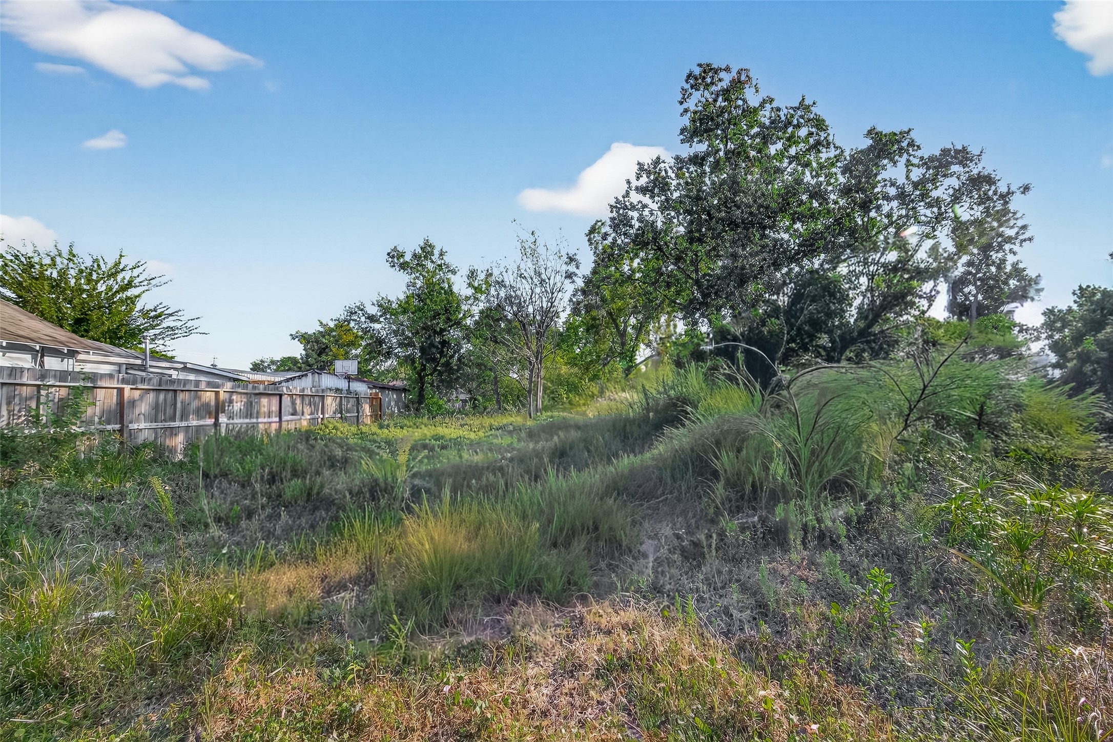 119 Sylvester Road Property Photo 6