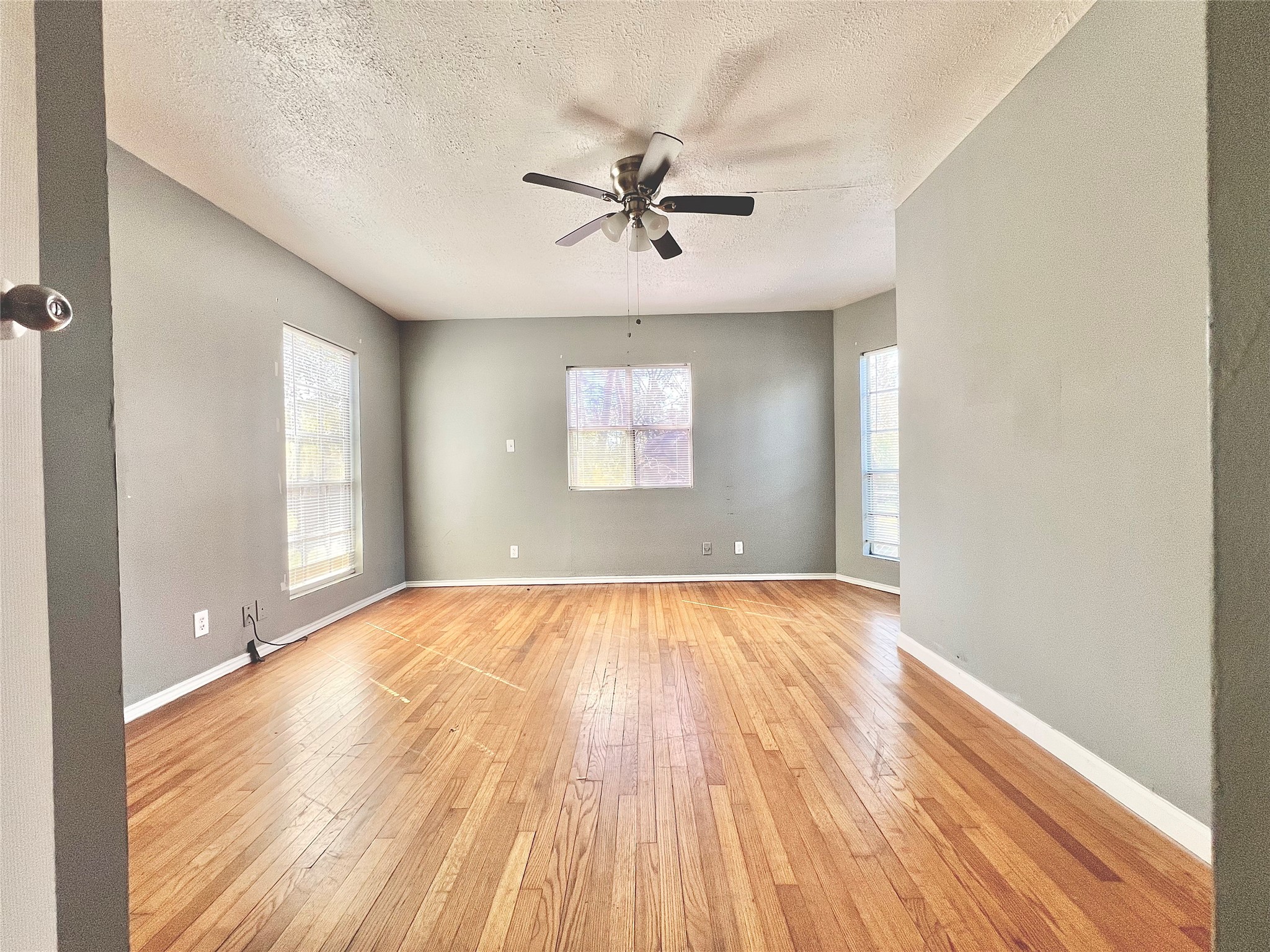 1508 Darden Drive Property Photo 19