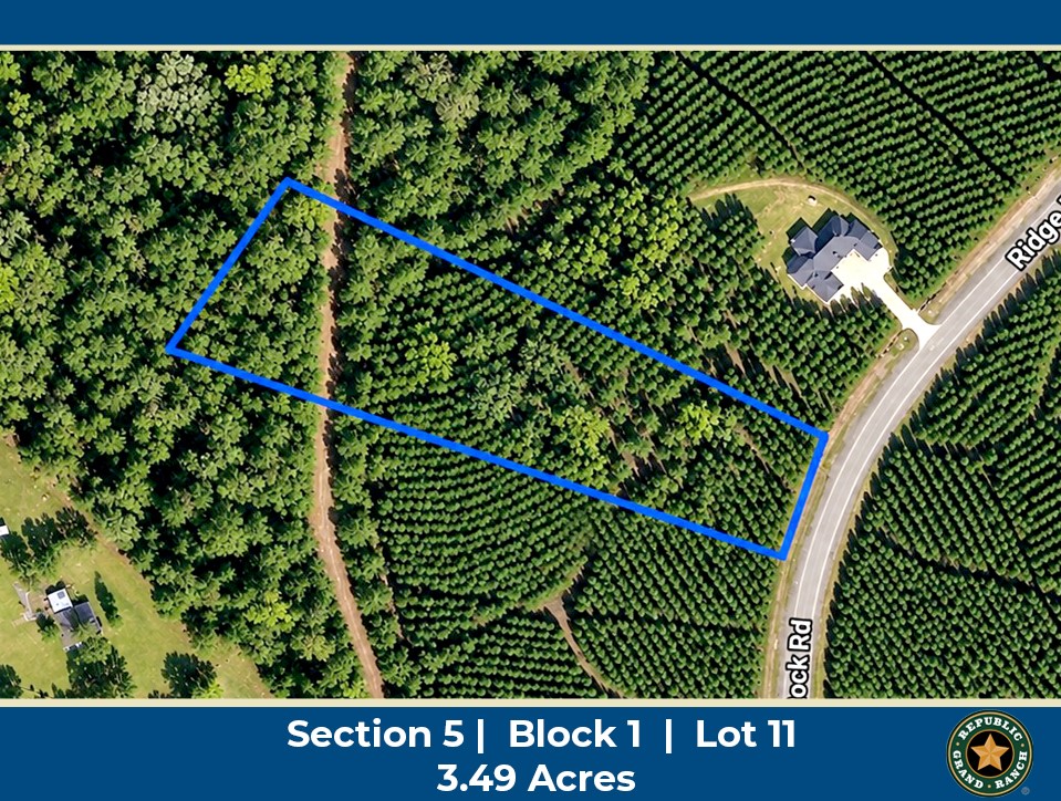 15699 Ridge Rock Road Property Photo 1
